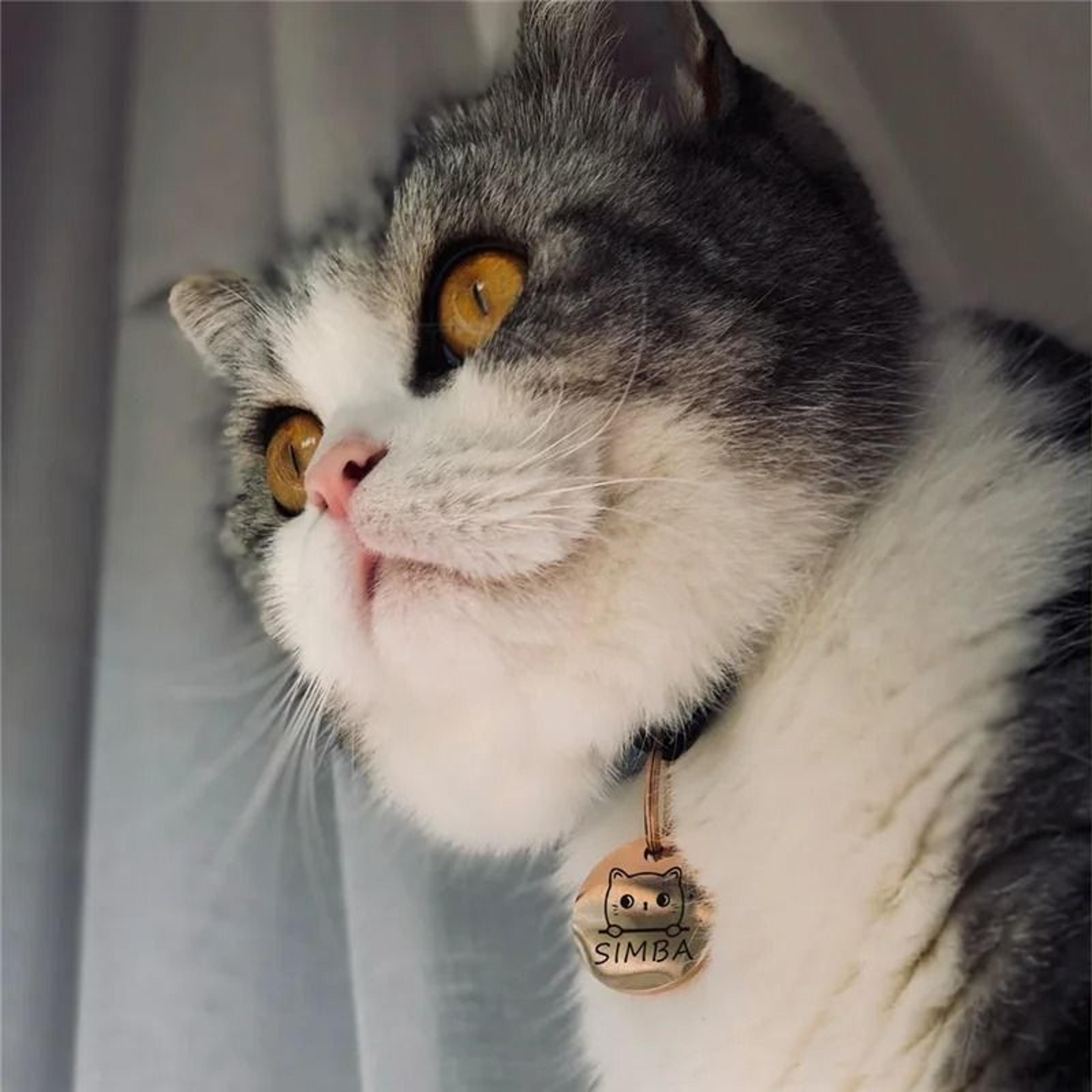 Personalized Pet ID Tags Cute Cat Face Engraved Collar Pendant For Cats And Dogs 1