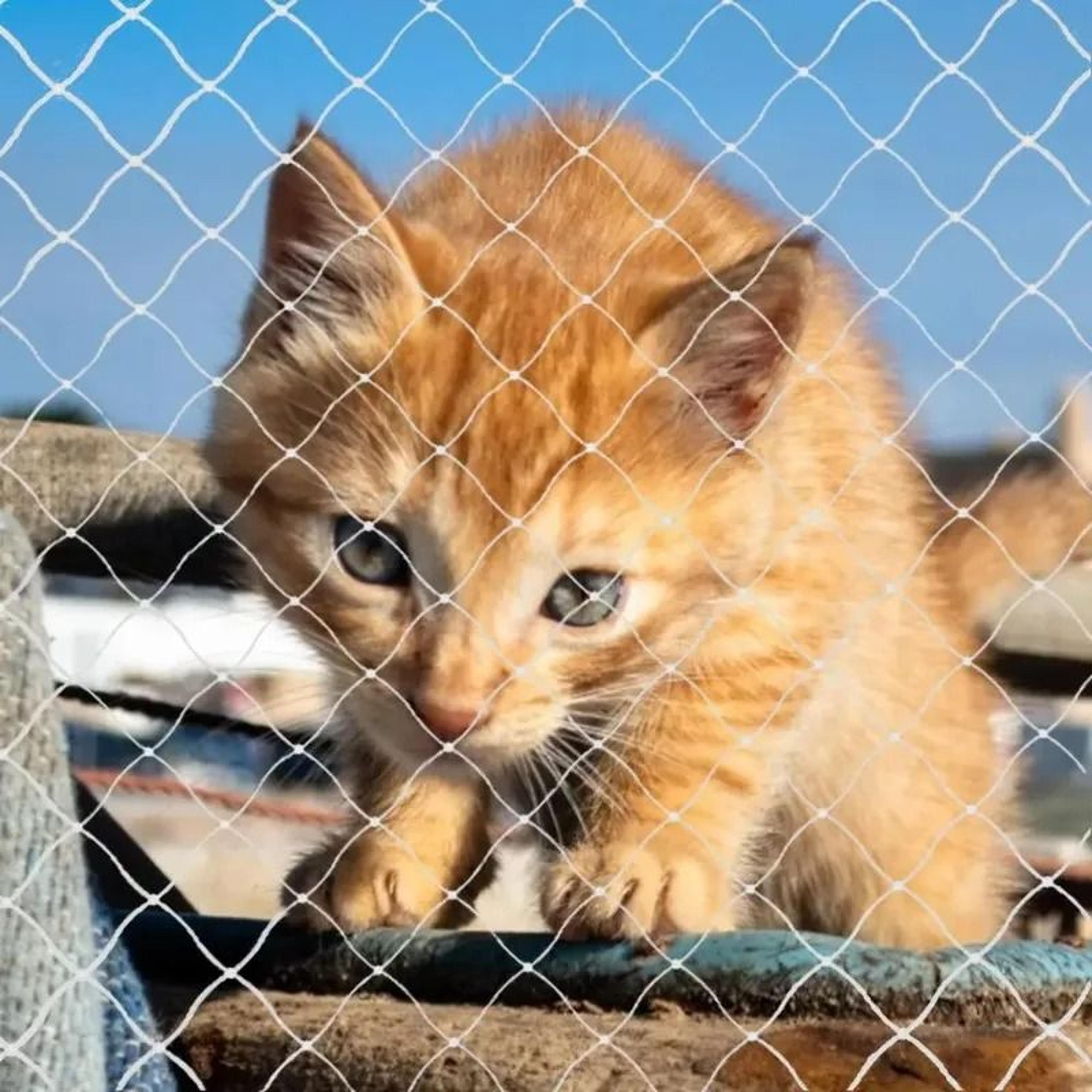 Protective Pet Safety Net Anti Fall Balcony Mesh Fence For Cats Patio Stairs And Windows 7