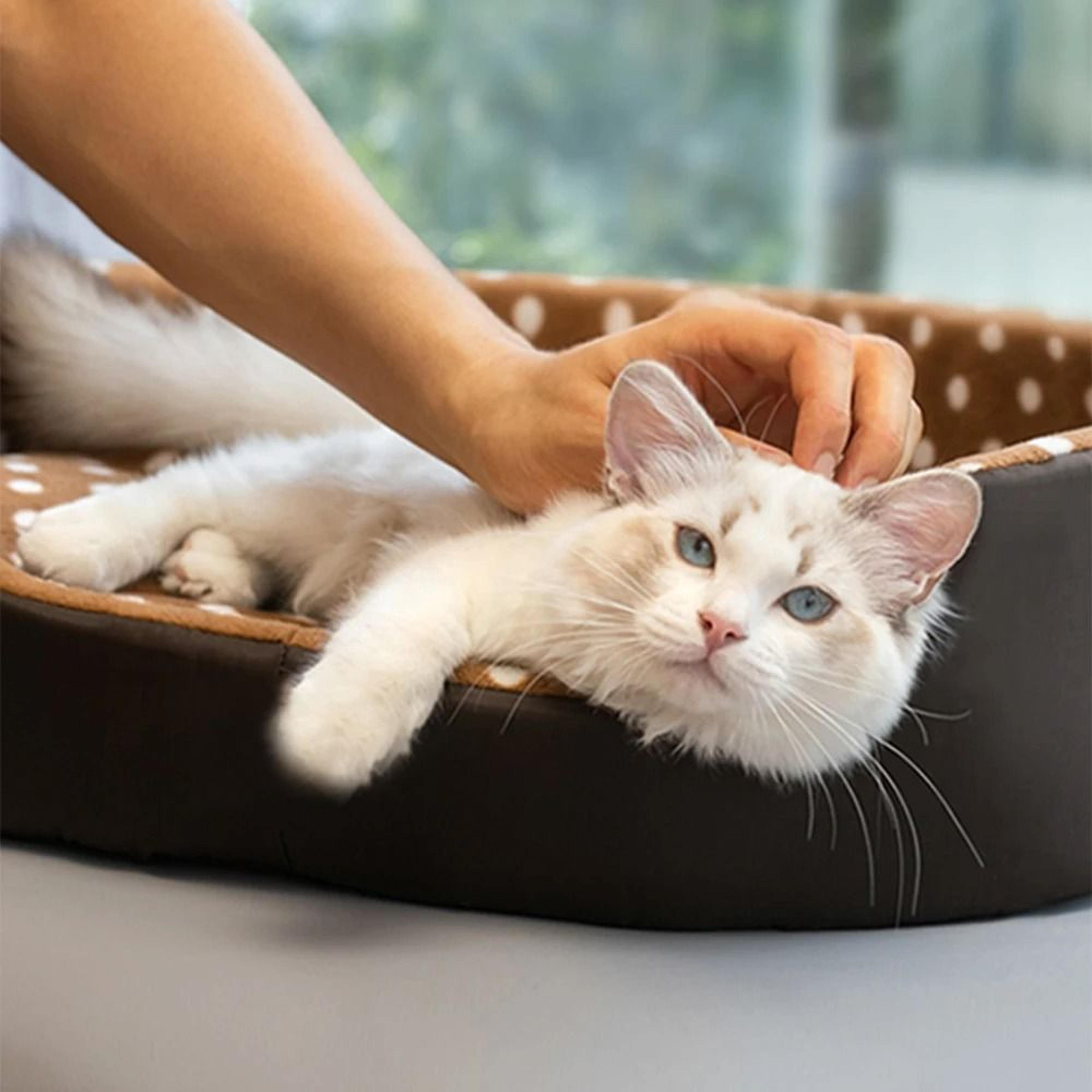 cozy plush cat cave bed indoor pet sleeping basket mat for cats and small dogs