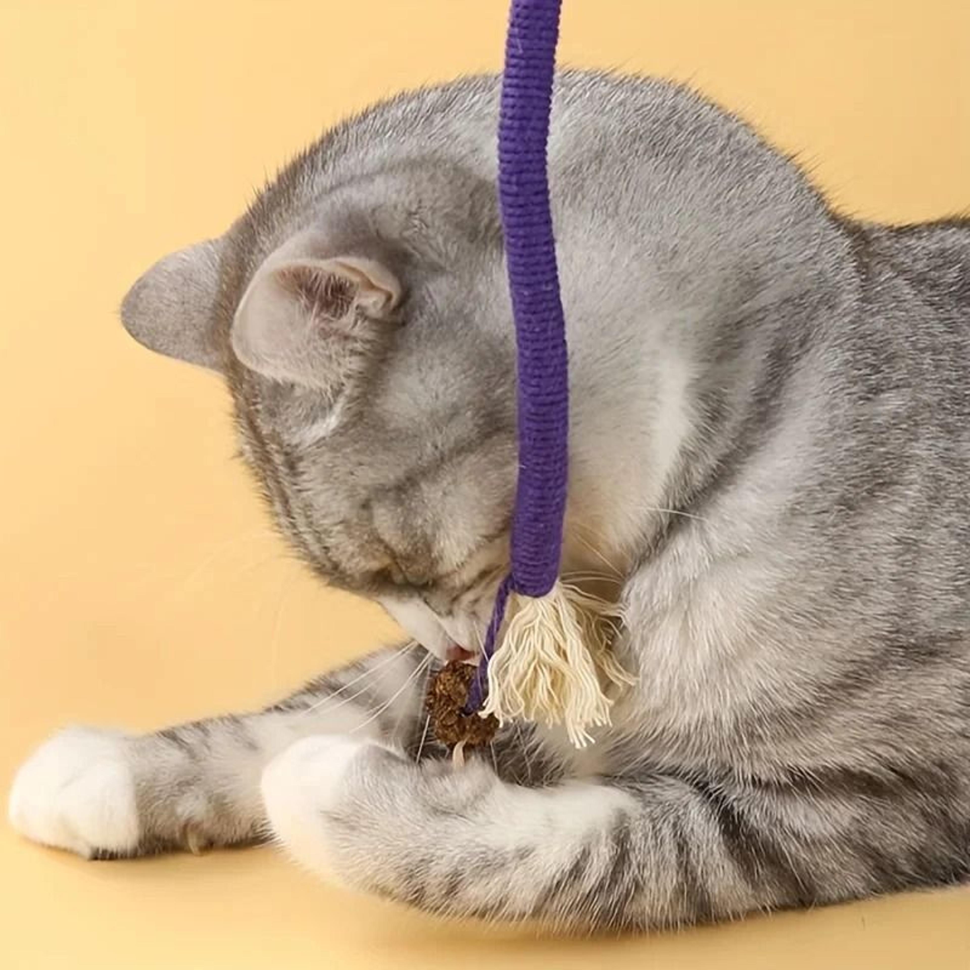 Silvervine Cat Chew Toy Interactive Dental Rope For Kittens 5