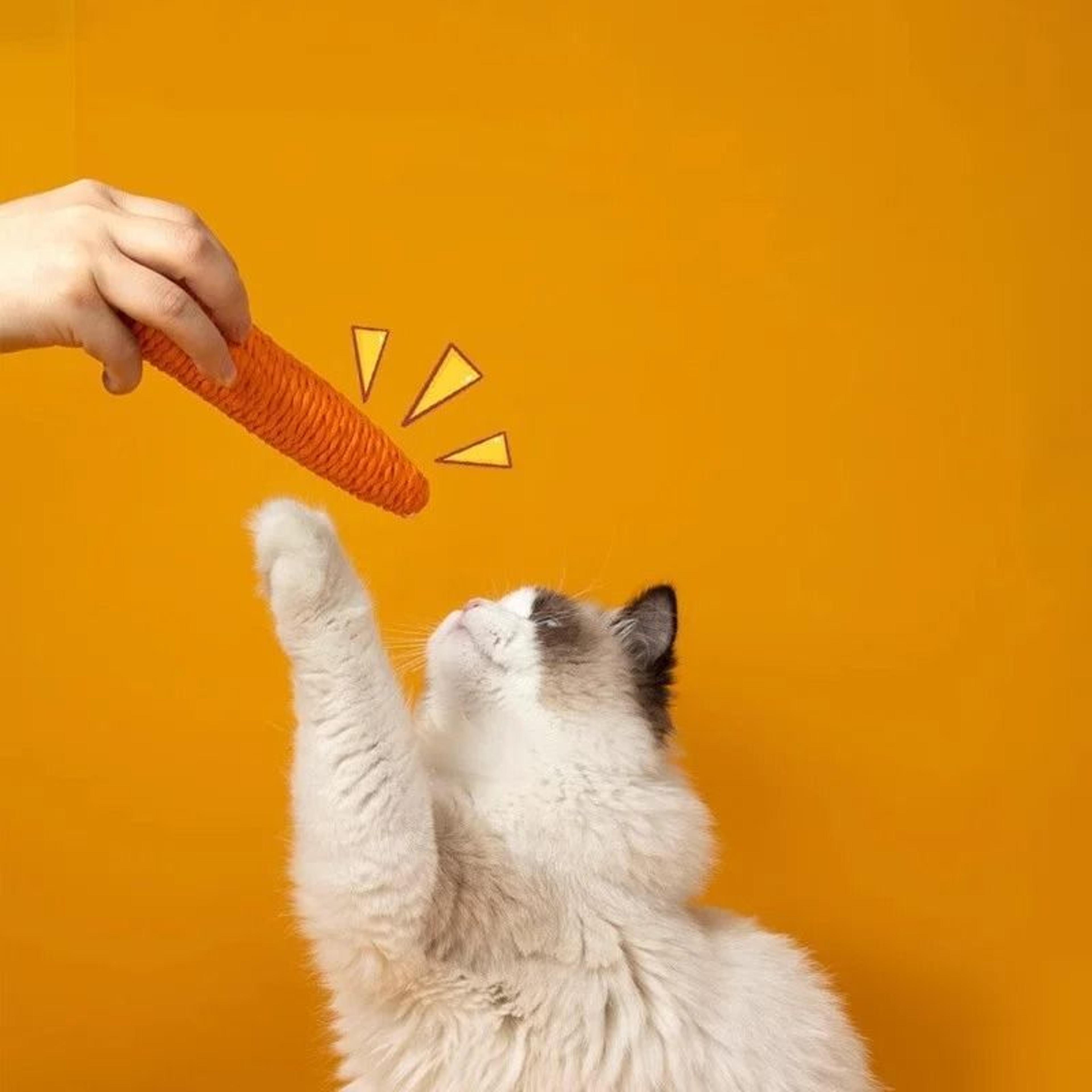 Carrot Cat Teething Toy With Sound For Interactive Chewing 6