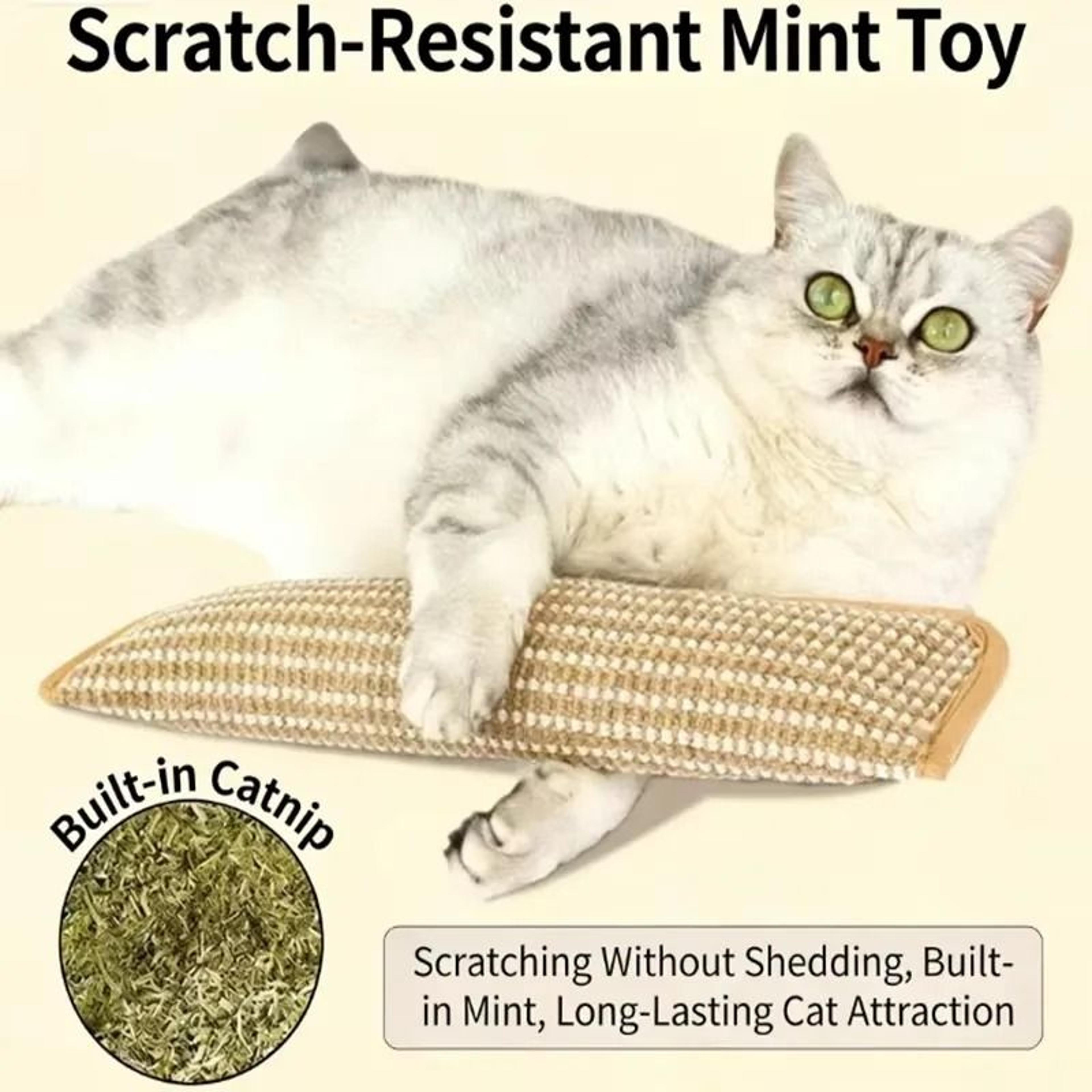 catnip sisal cat scratcher pillow for chewing and claw care