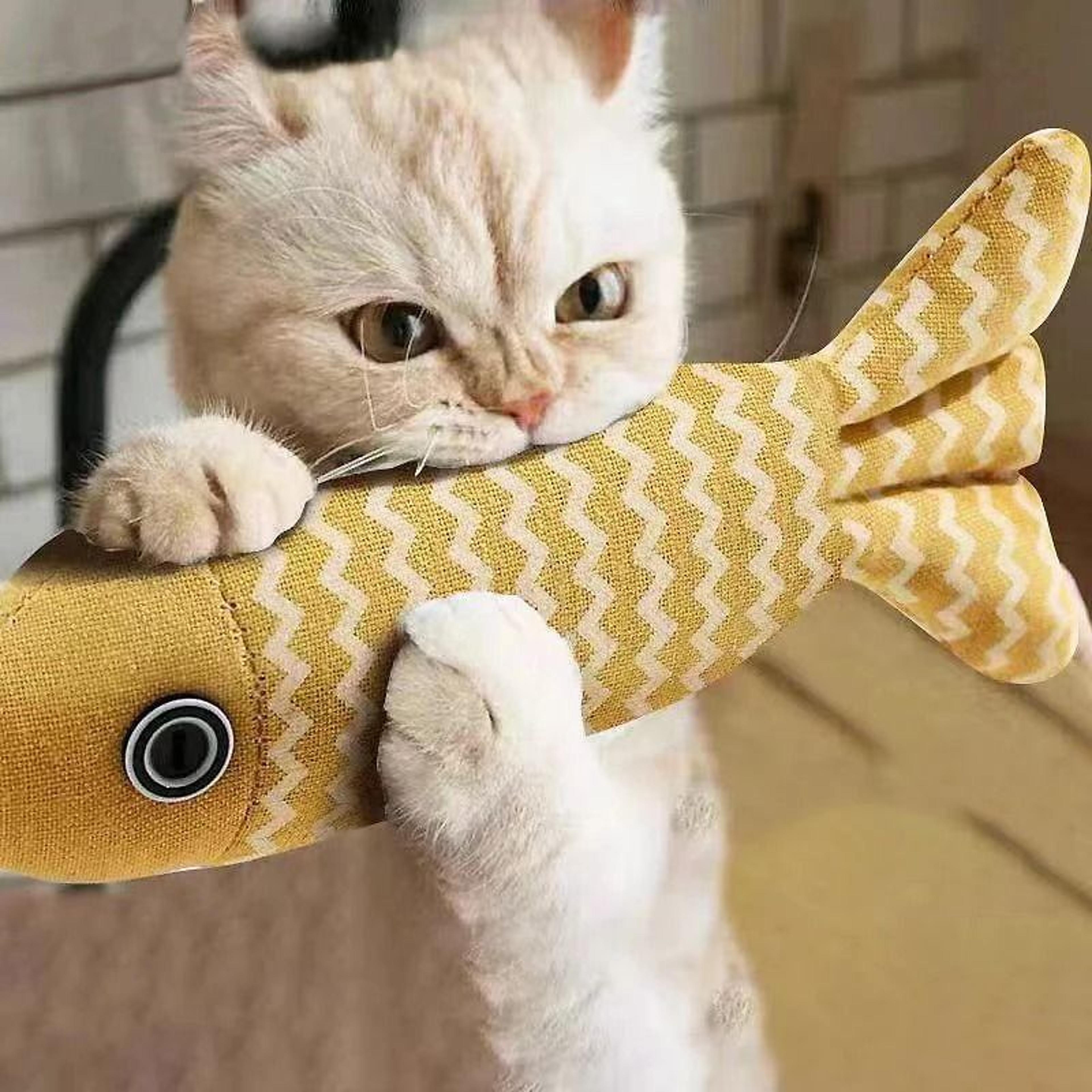 Simulation Fish Cat Kicker Toy For Indoor Play 9