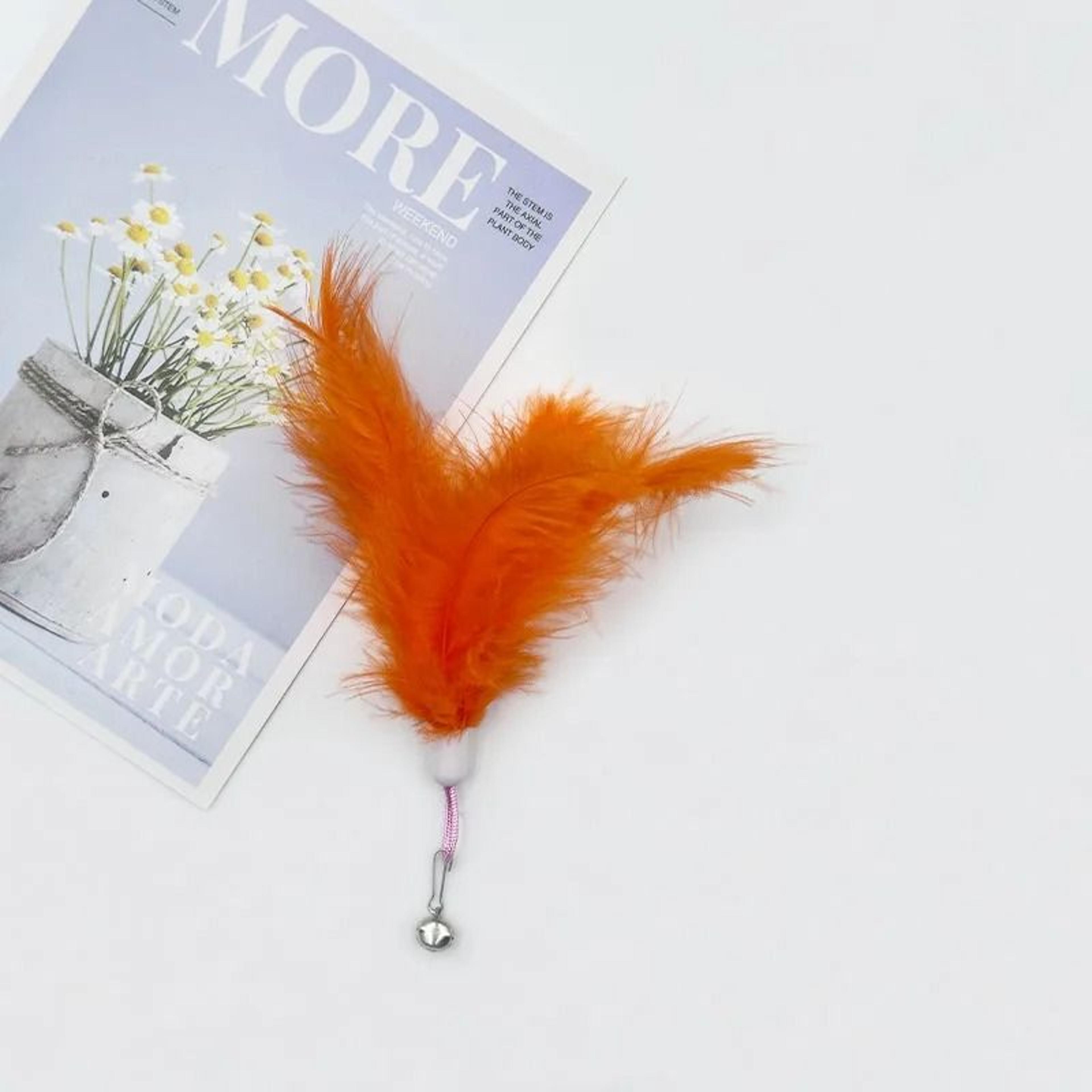 Feather Bell Cat Toy Replacement Heads For Interactive Wand Chase And Exercise Play 4