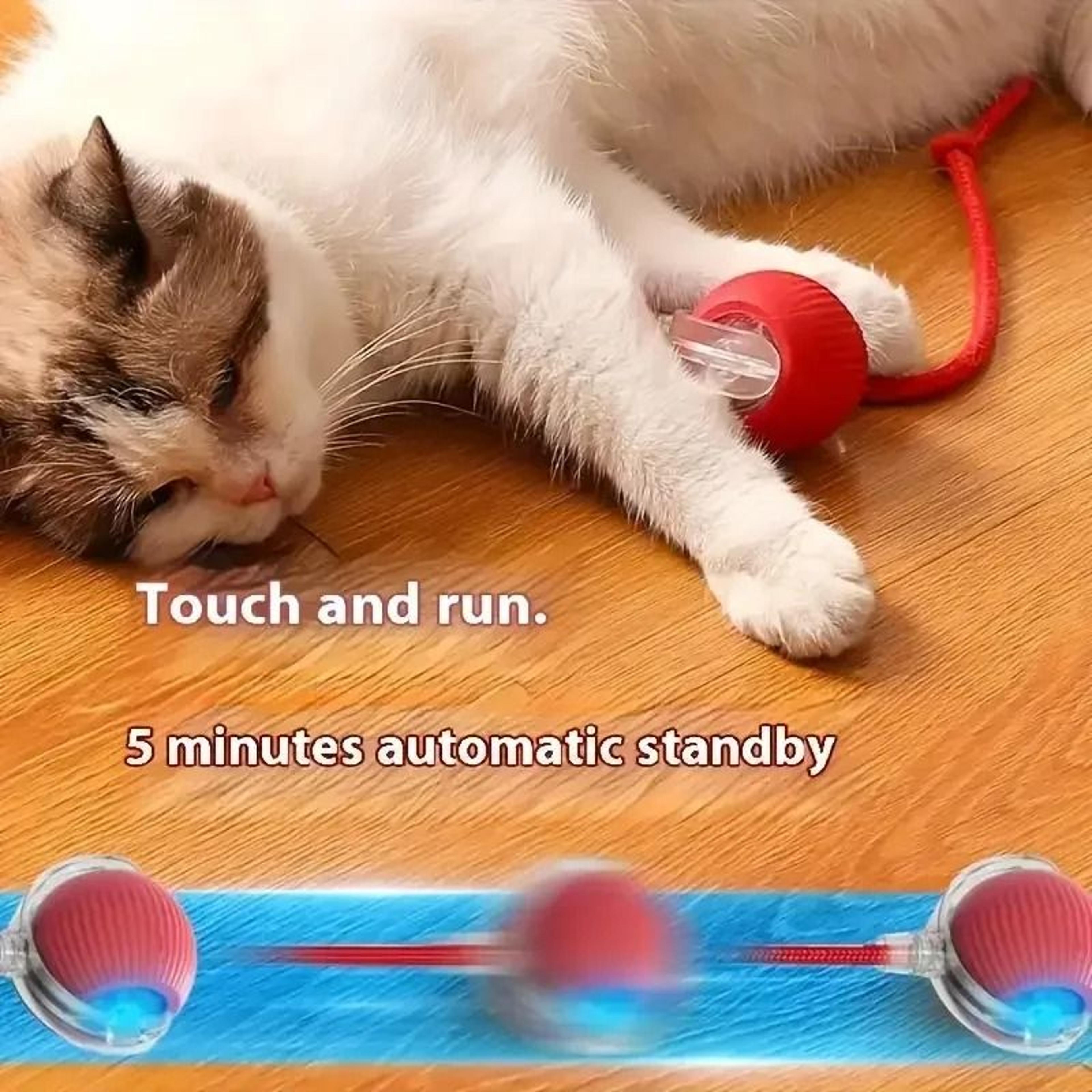 USB Rechargeable Automatic Rolling Cat Toy With Tail Teaser 18
