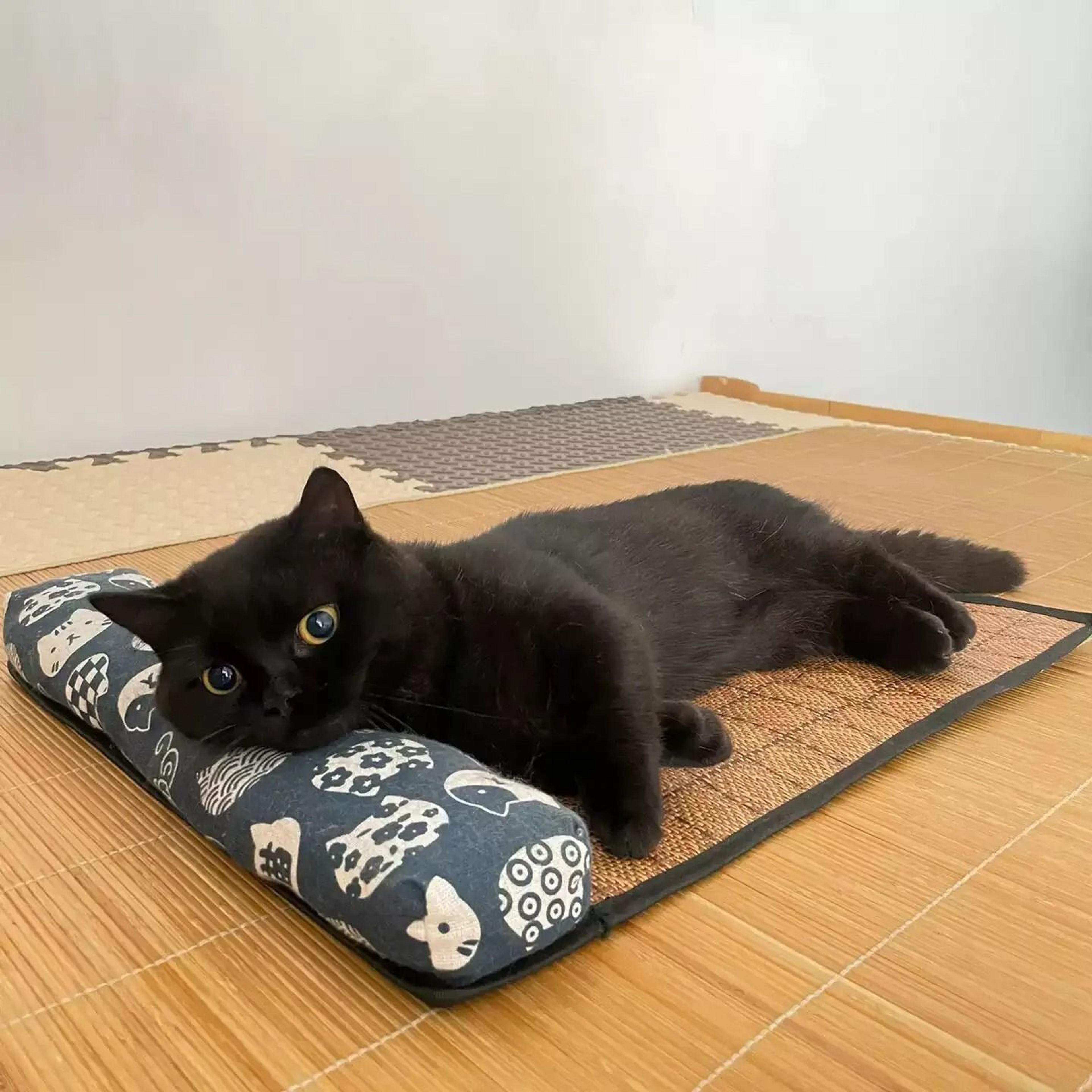 Natural Rattan Cat Cooling Mat For Summer Rest 17