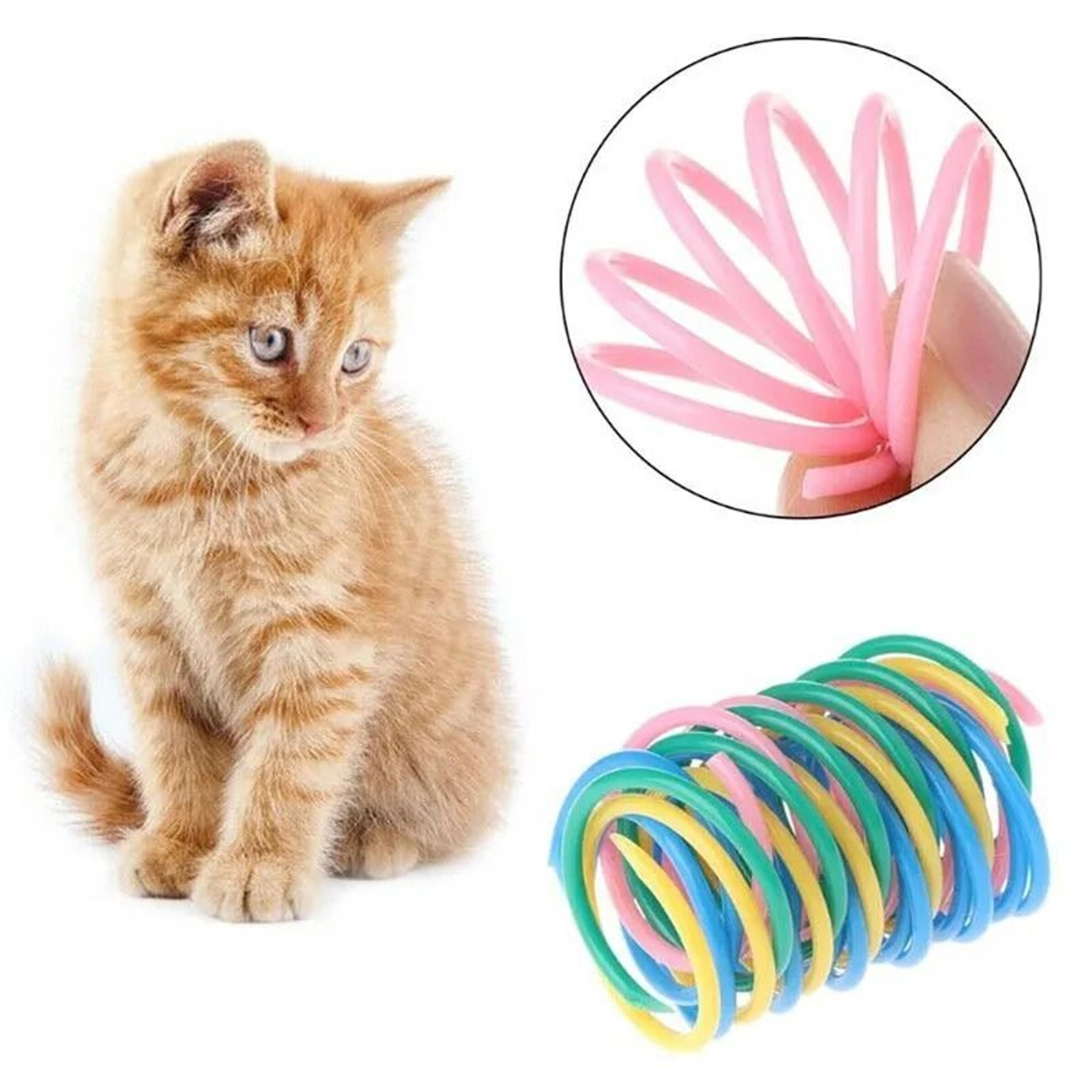 colorful spring cat toy coils for chasing chewing and kitten exercise