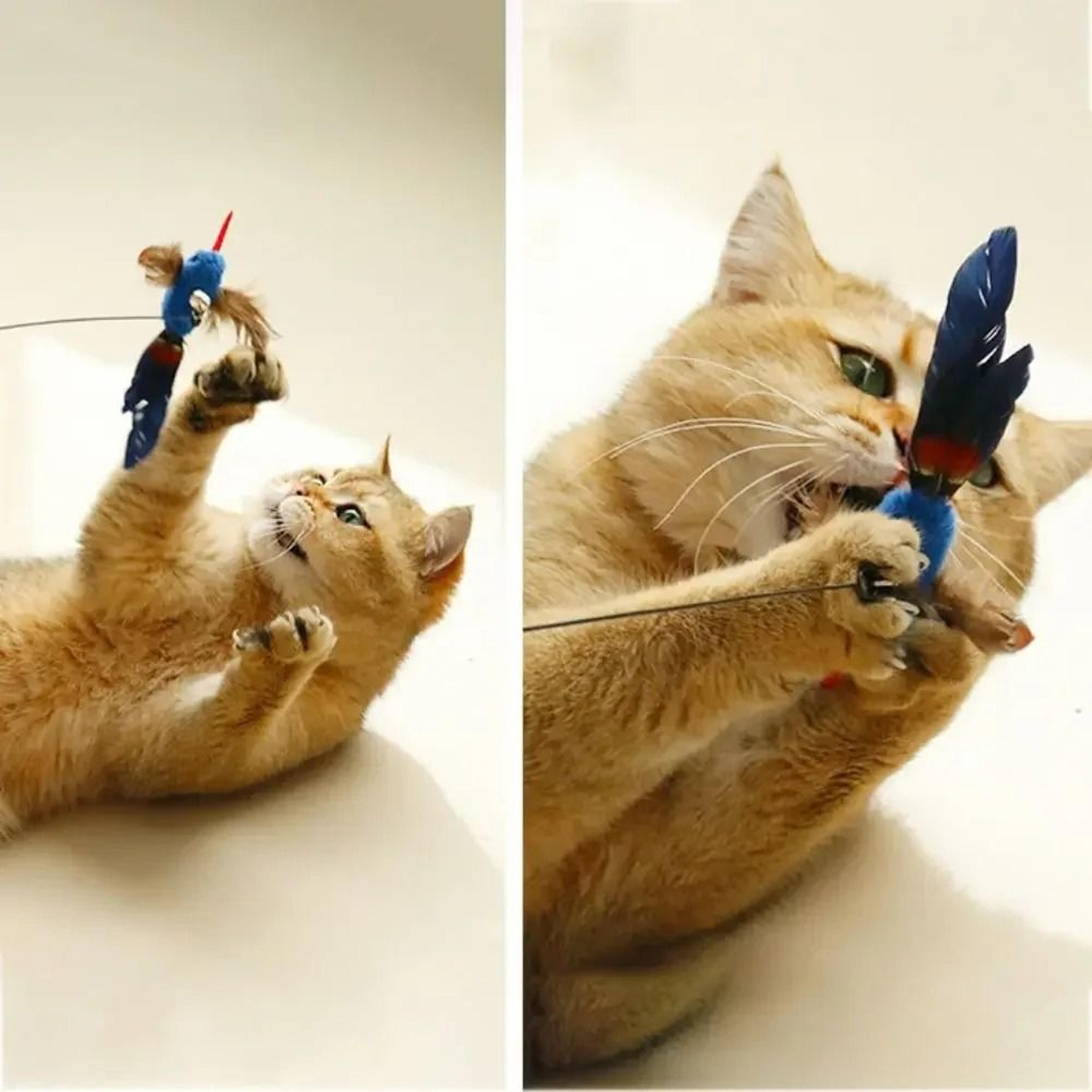 Simulation Feather Bird Cat Toy Replacement Head For Interactive Teaser Wand Play 9