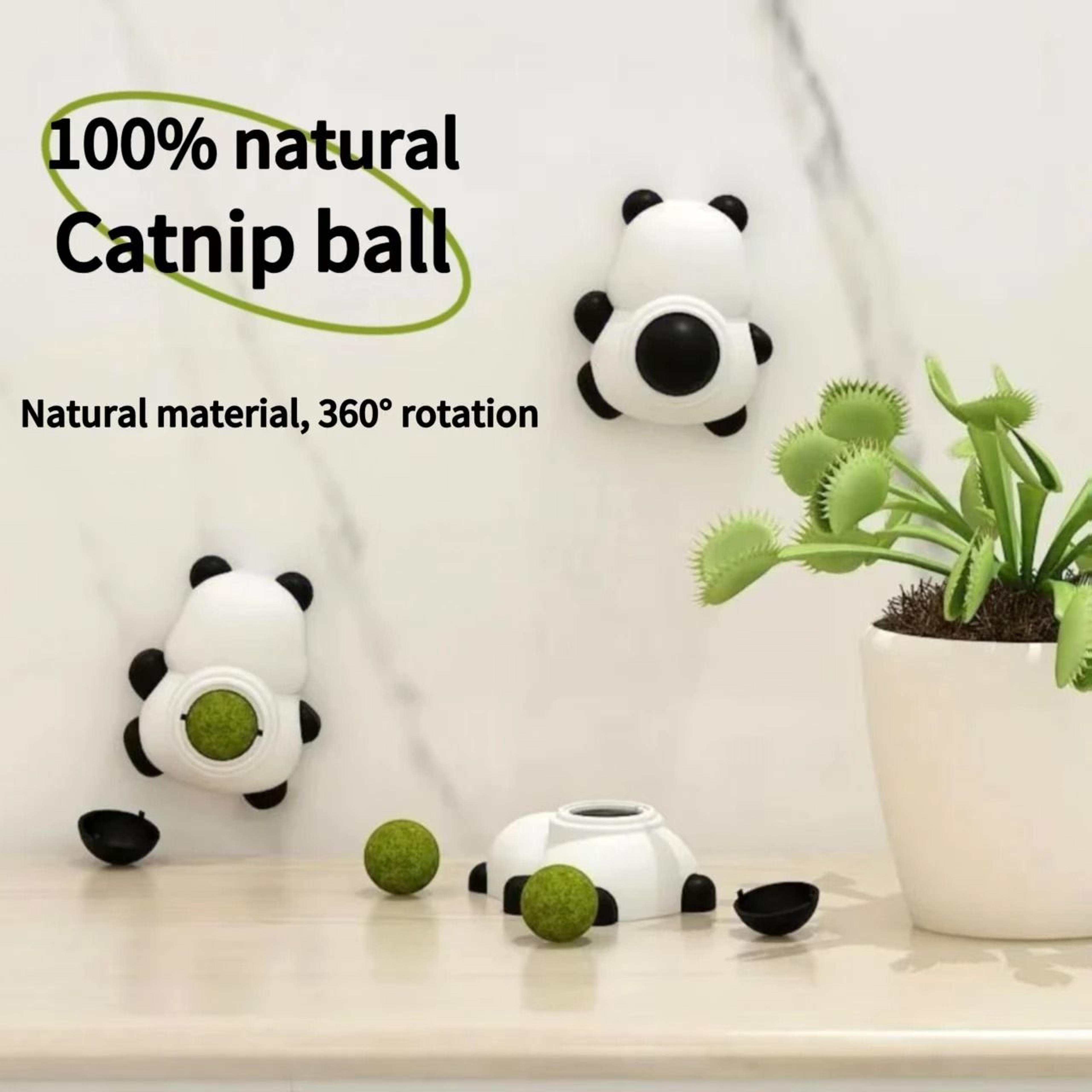Natural Catnip Wall Ball Toy For Licking Biting Teeth Cleaning And Play 9