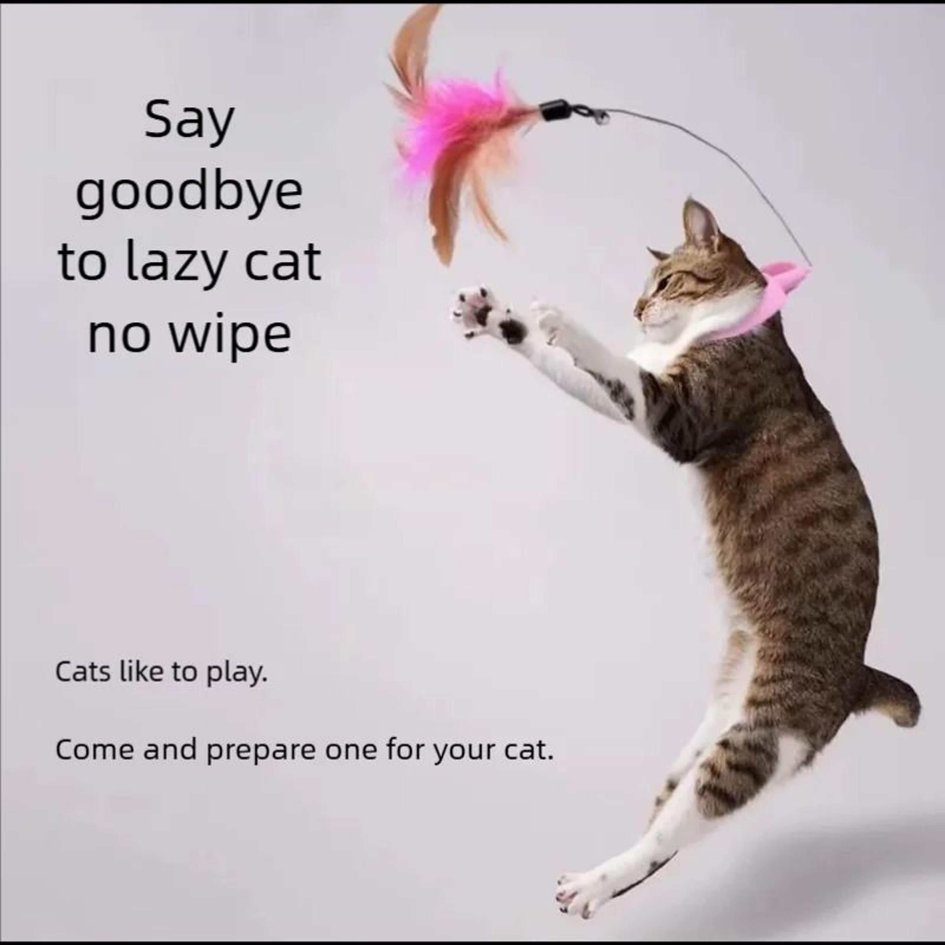 feather bell cat teaser collar for self play exercise and indoor fun