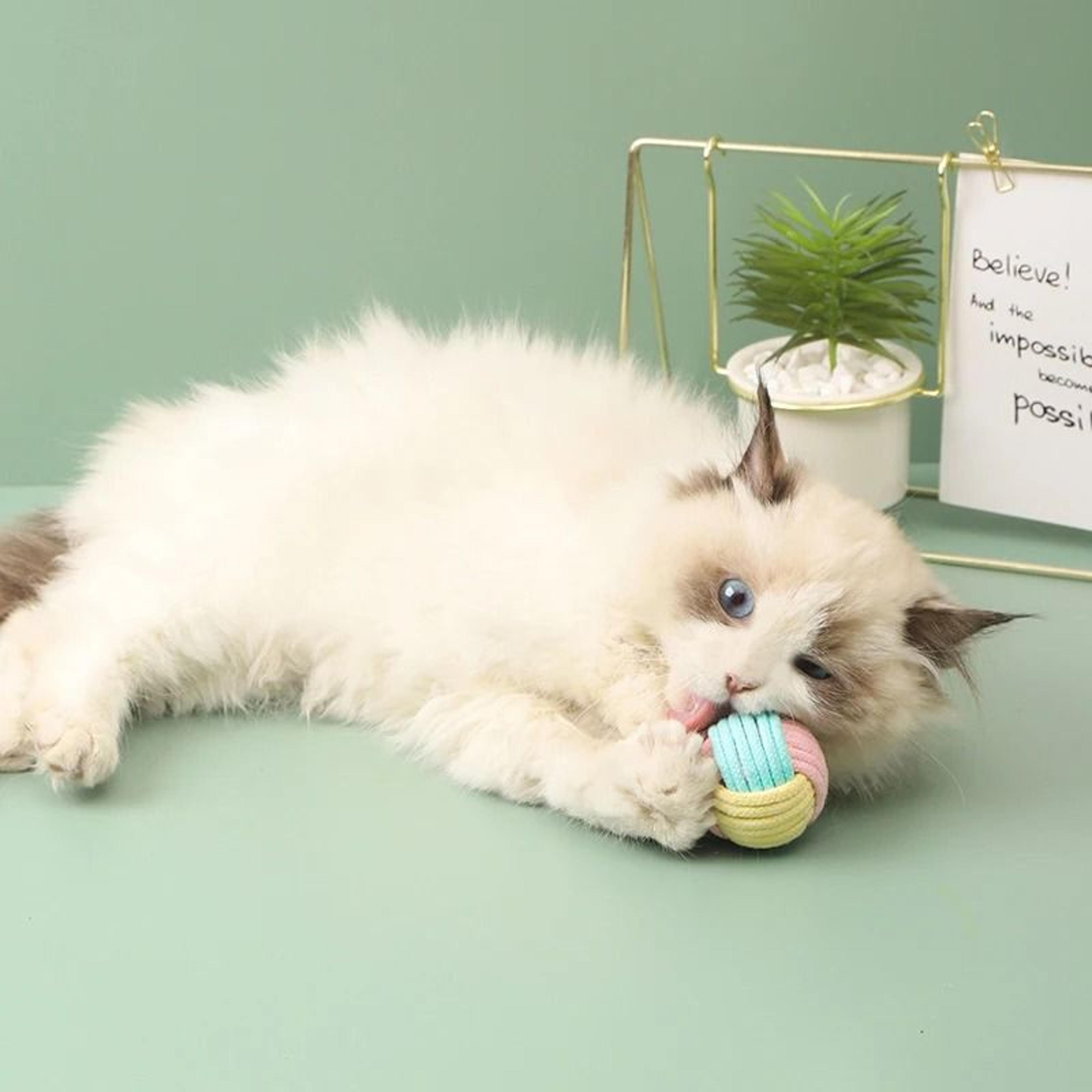 Interactive Cotton Rope Cat Ball Toy For Chewing Chasing Training And Indoor Play 4