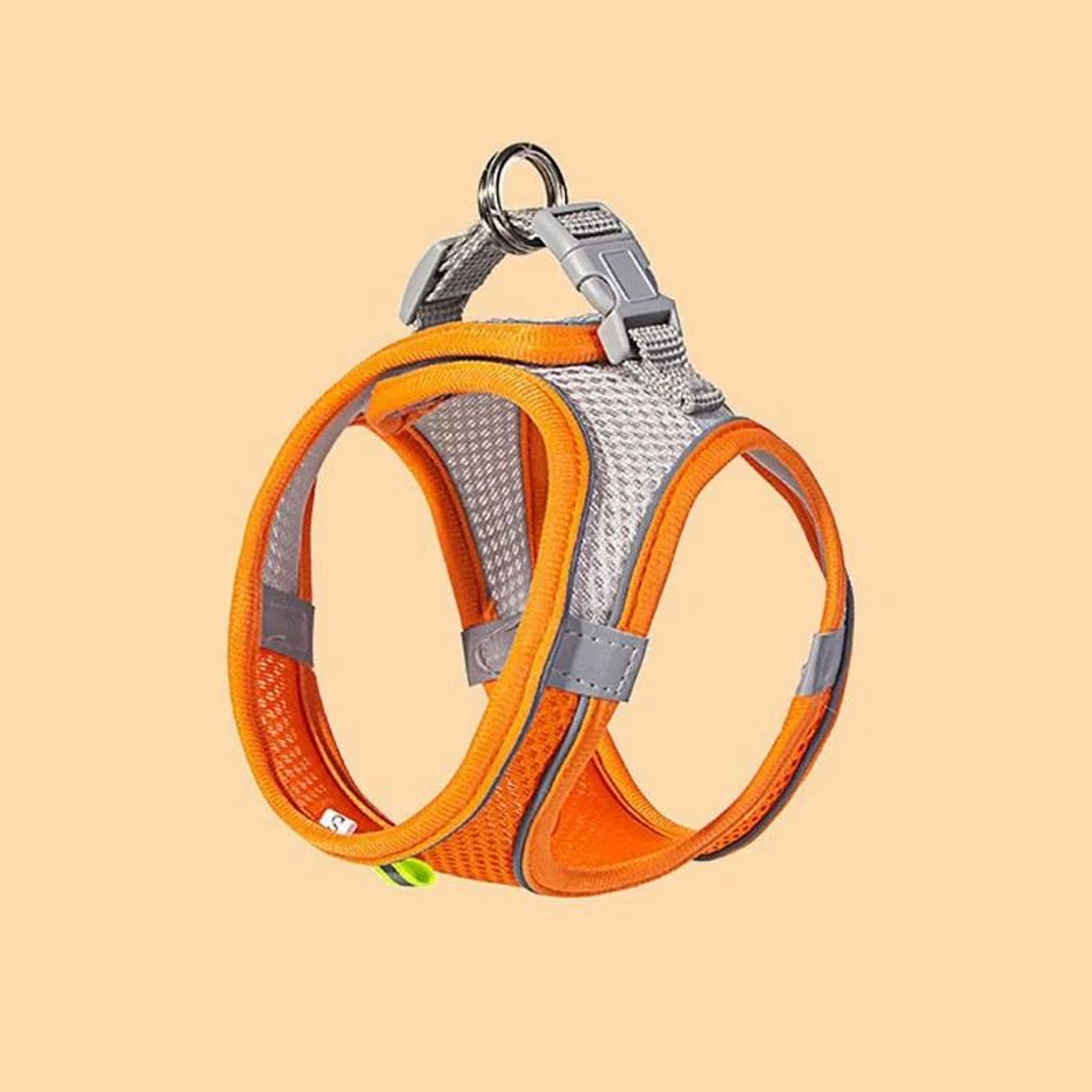 Reflective Breathable Cat Dog Harness Vest With Adjustable Leash For Small Medium Pets 3