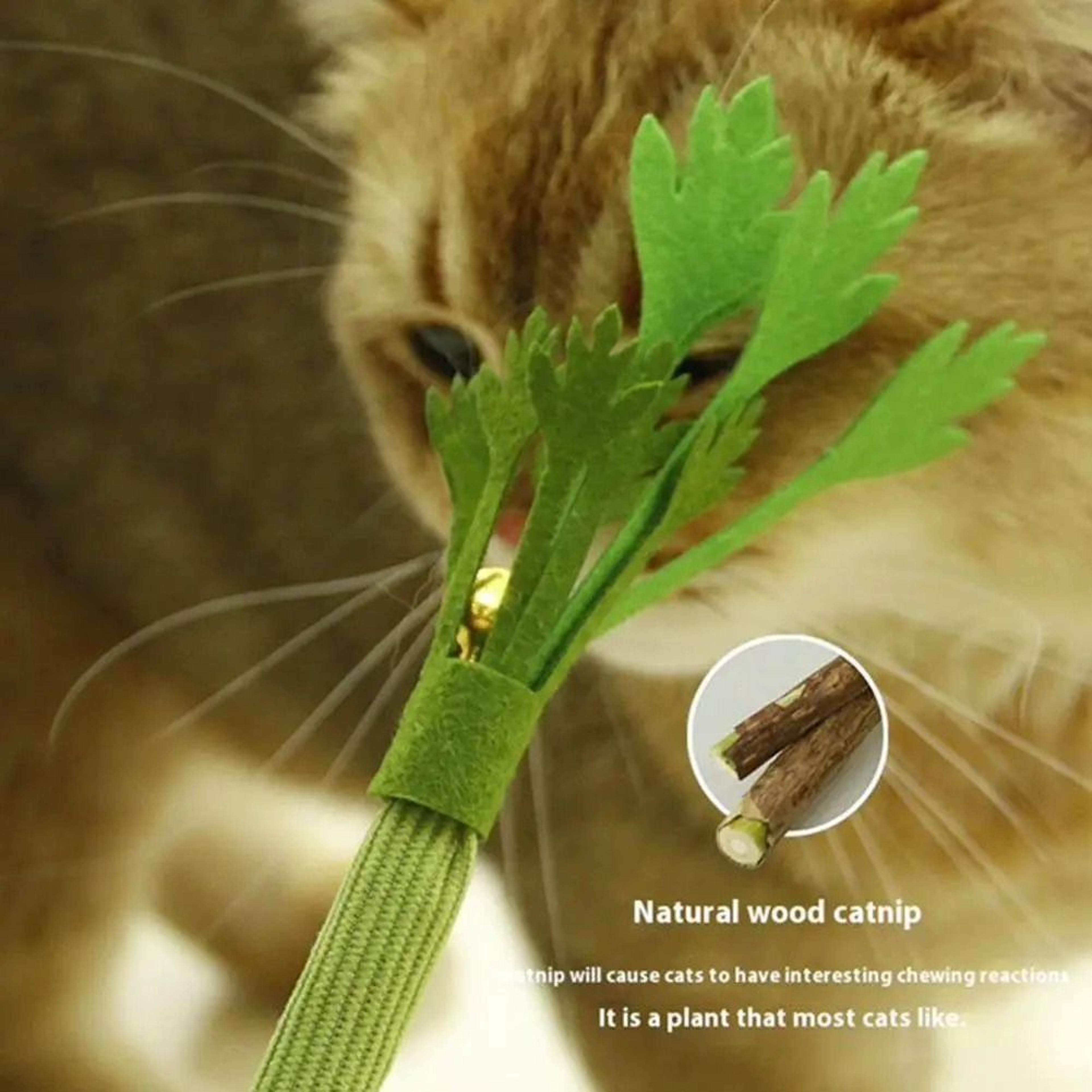 Realistic Celery Catnip Chew Toy For Dental Care Kicking And Indoor Play 8