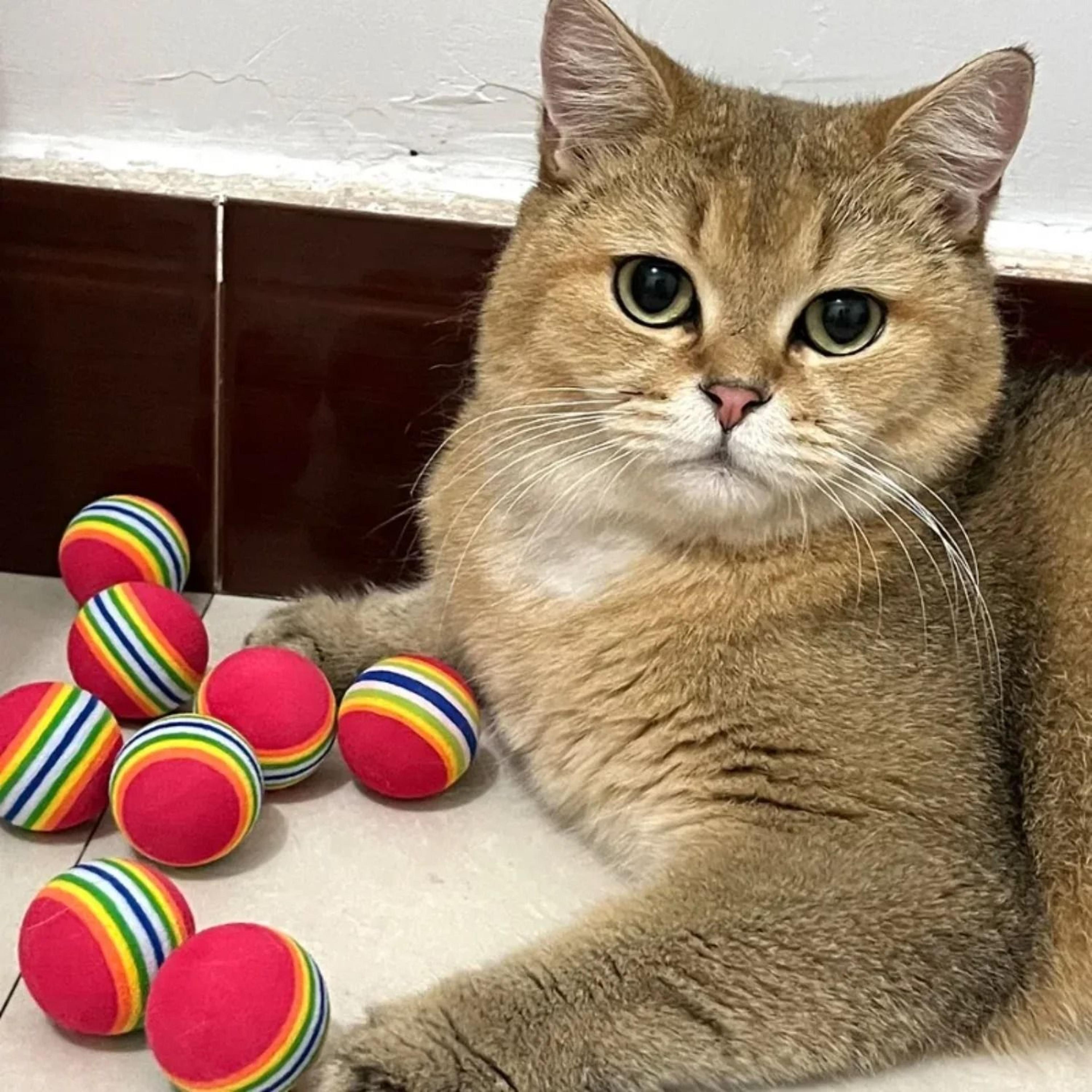 Colorful EVA Cat Toy Balls For Chewing Chasing Training And Interactive Play 8