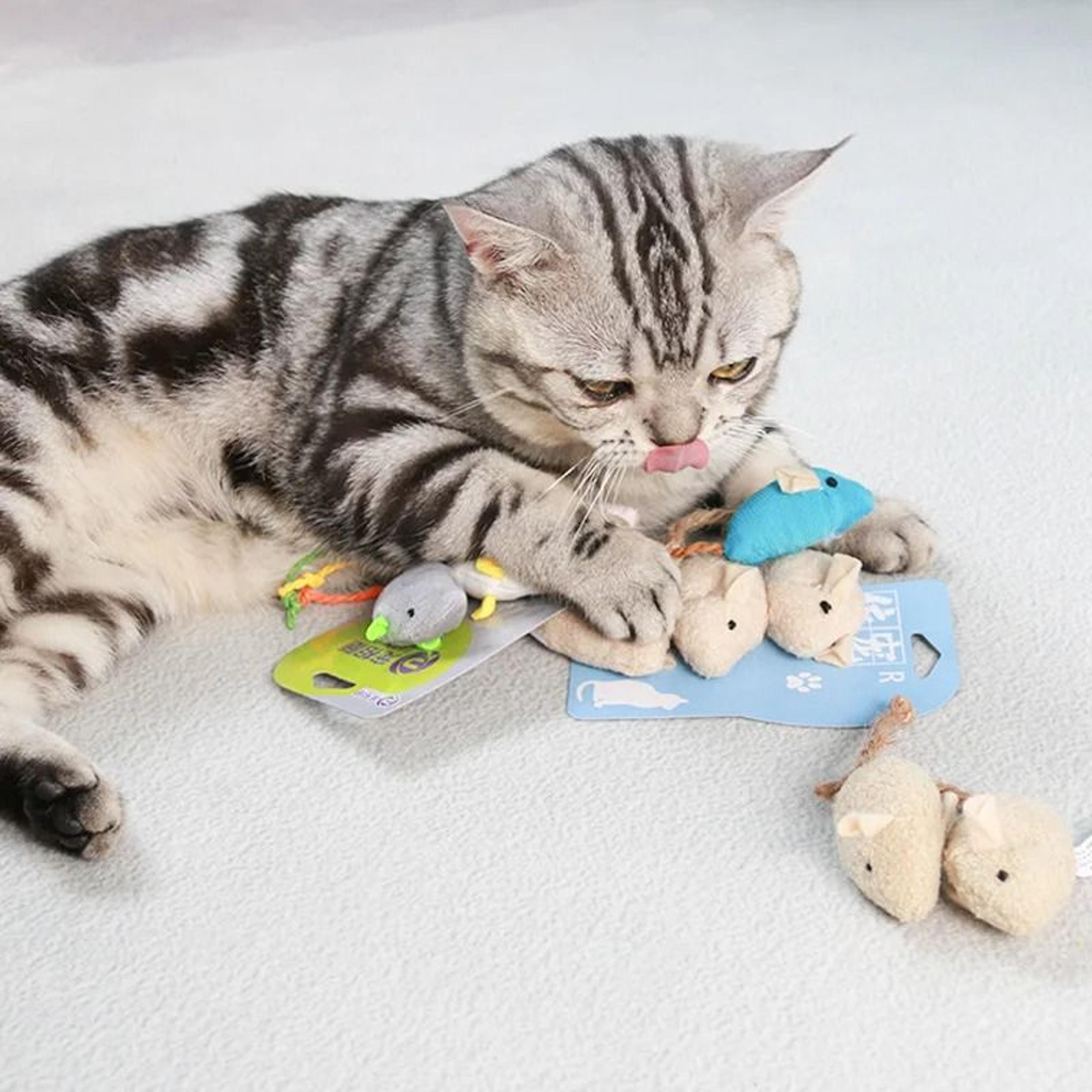 Catnip Plush Mouse Cat Toy For Kitten Chasing Chewing And Indoor Play 4