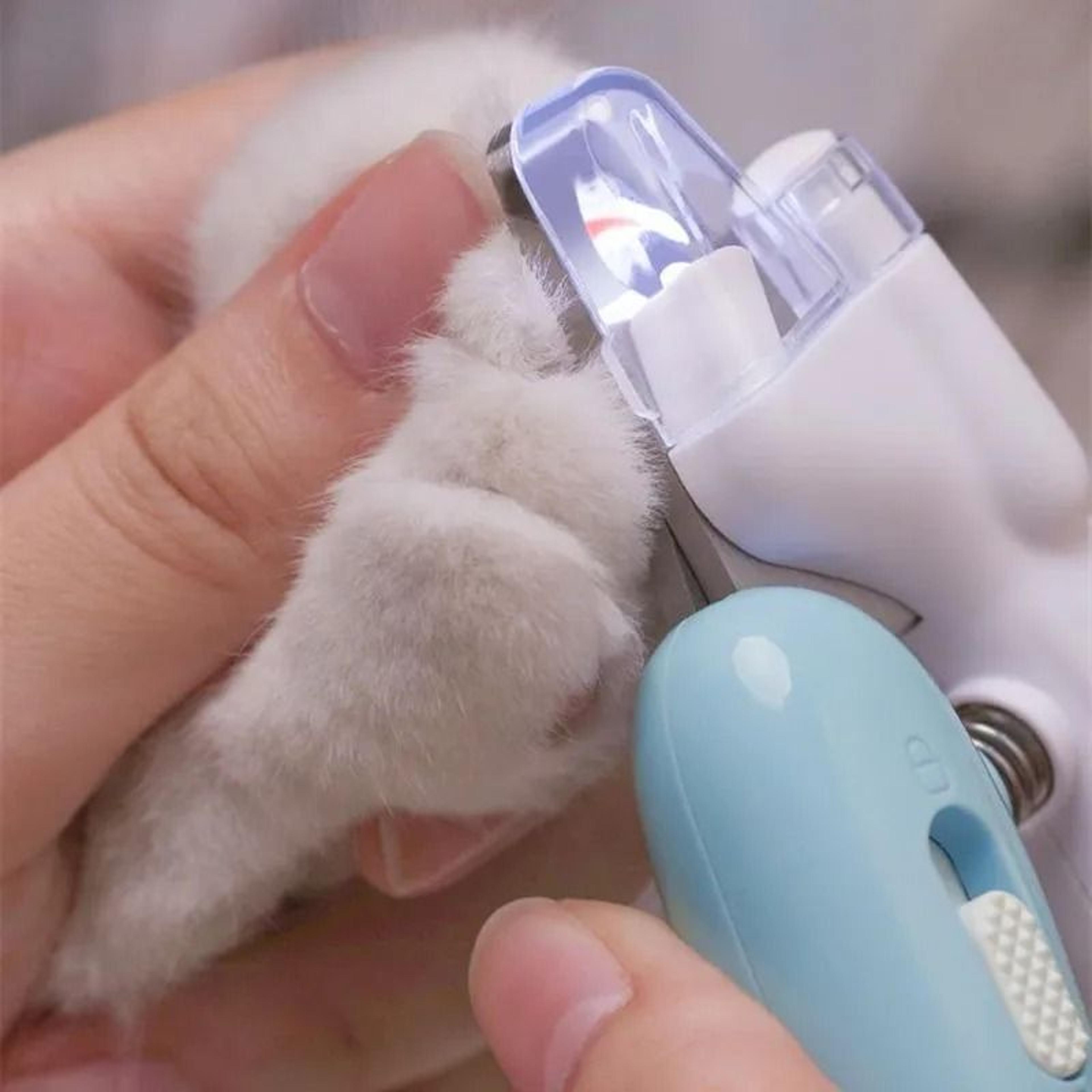 led pet nail clipper and electric grinder for dogs cats and easy grooming