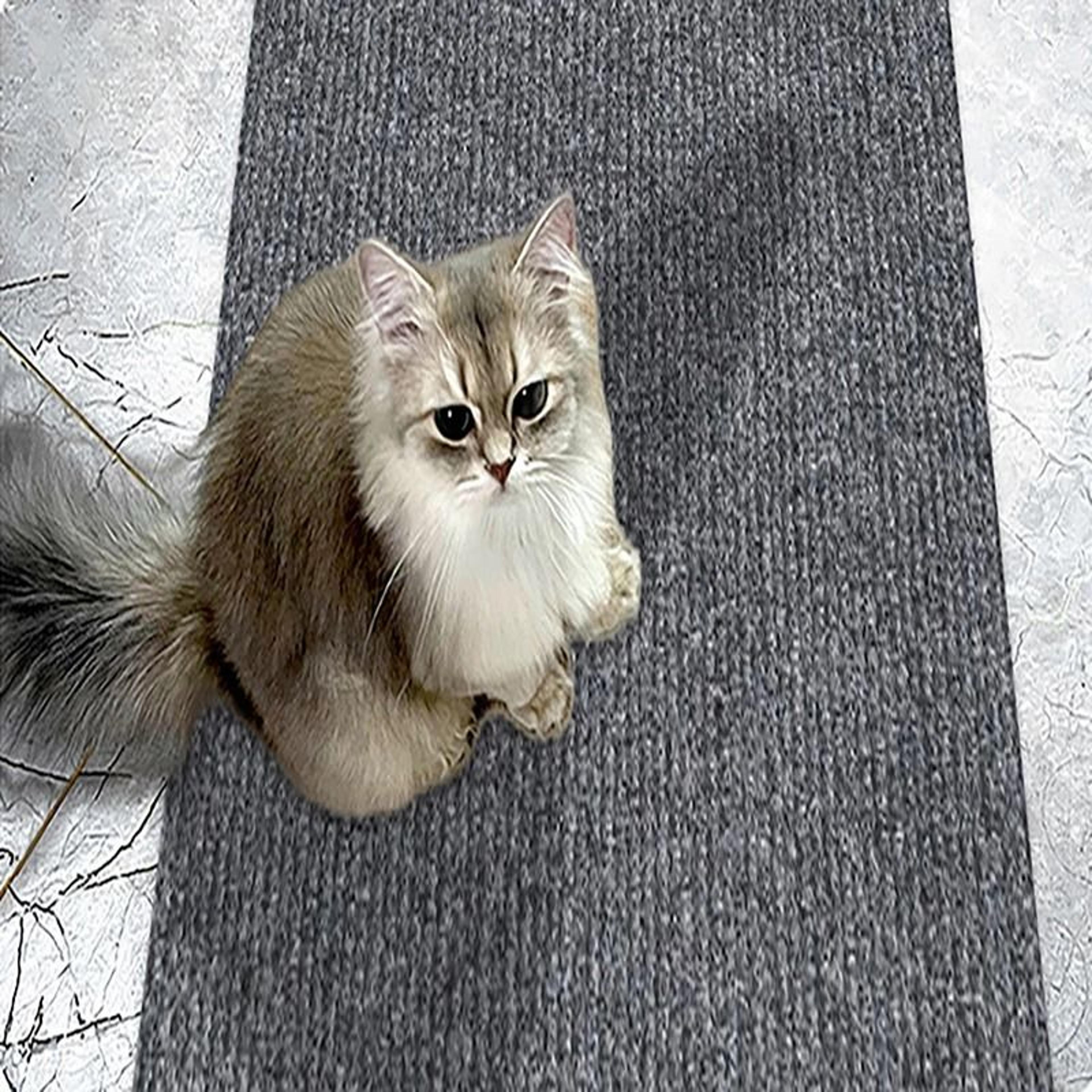 Self Adhesive Cat Scratch Mat For Sofa And Wall Protection 9