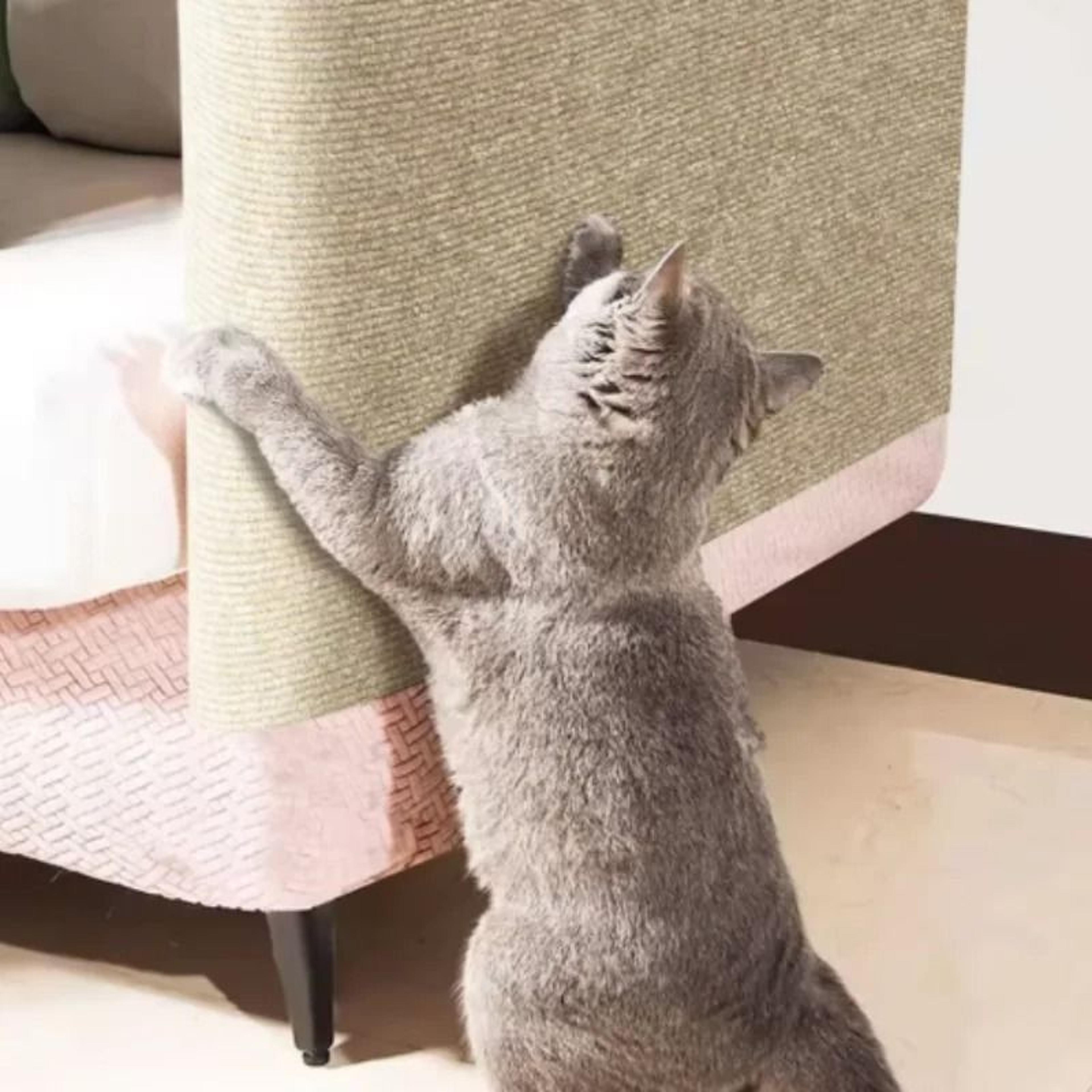 Self Adhesive Cat Scratching Mat Furniture Protector 10