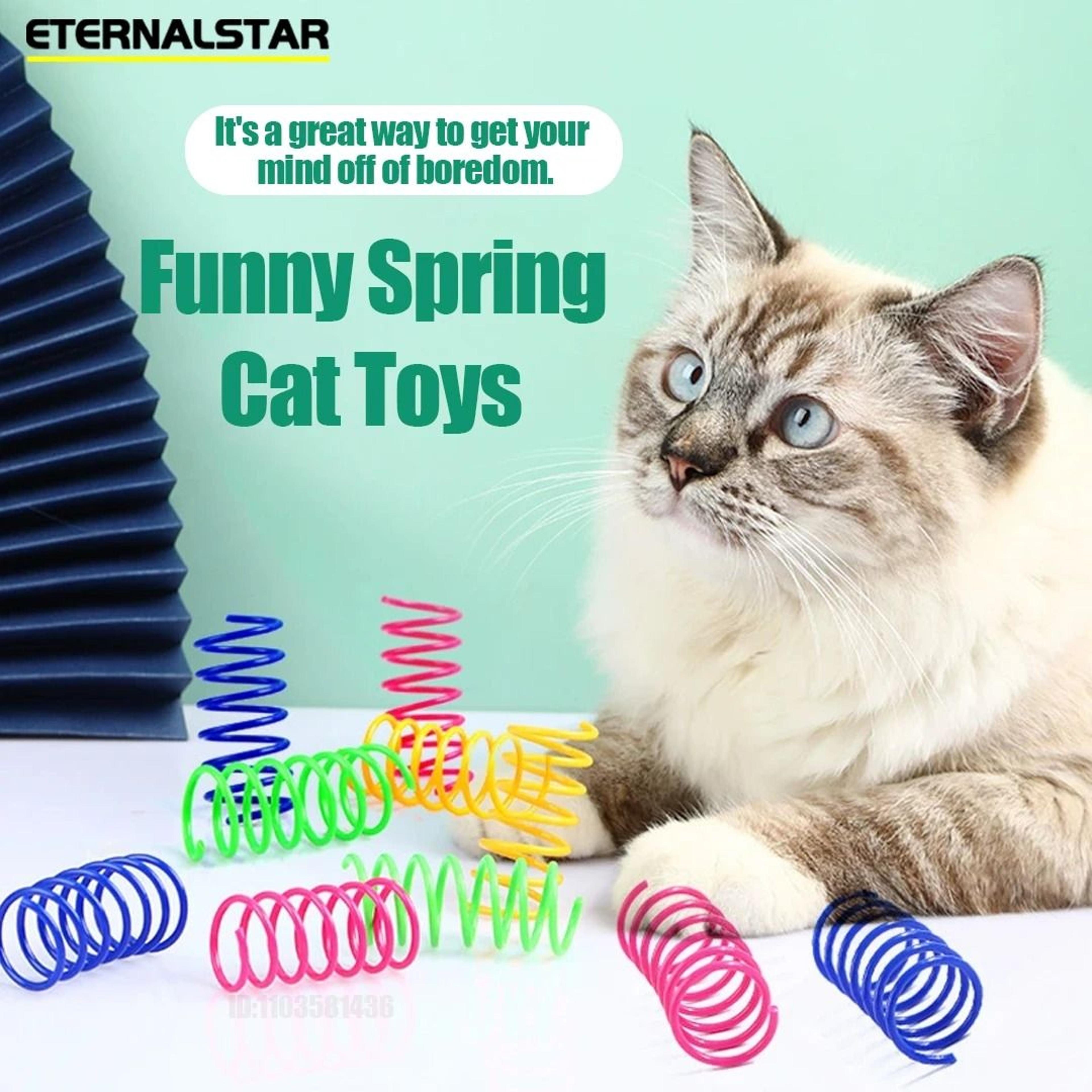 Colorful Spiral Cat Spring Toy Plastic Coil Set For Indoor Hunting Chasing And Kitten Play 5