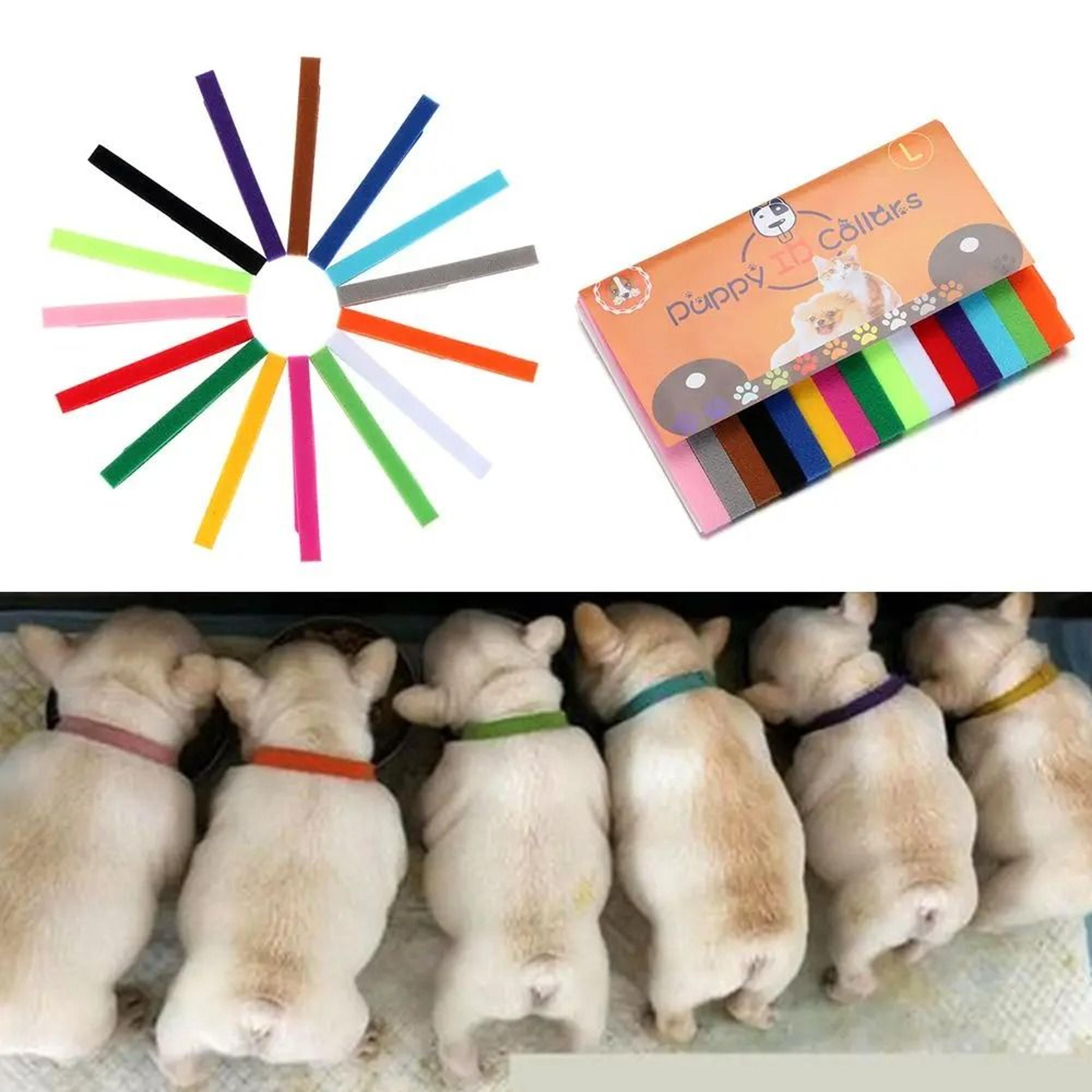 Adjustable Puppy ID Collar Set For Newborn Pets Kittens Whelping Litter Identification And Care 4