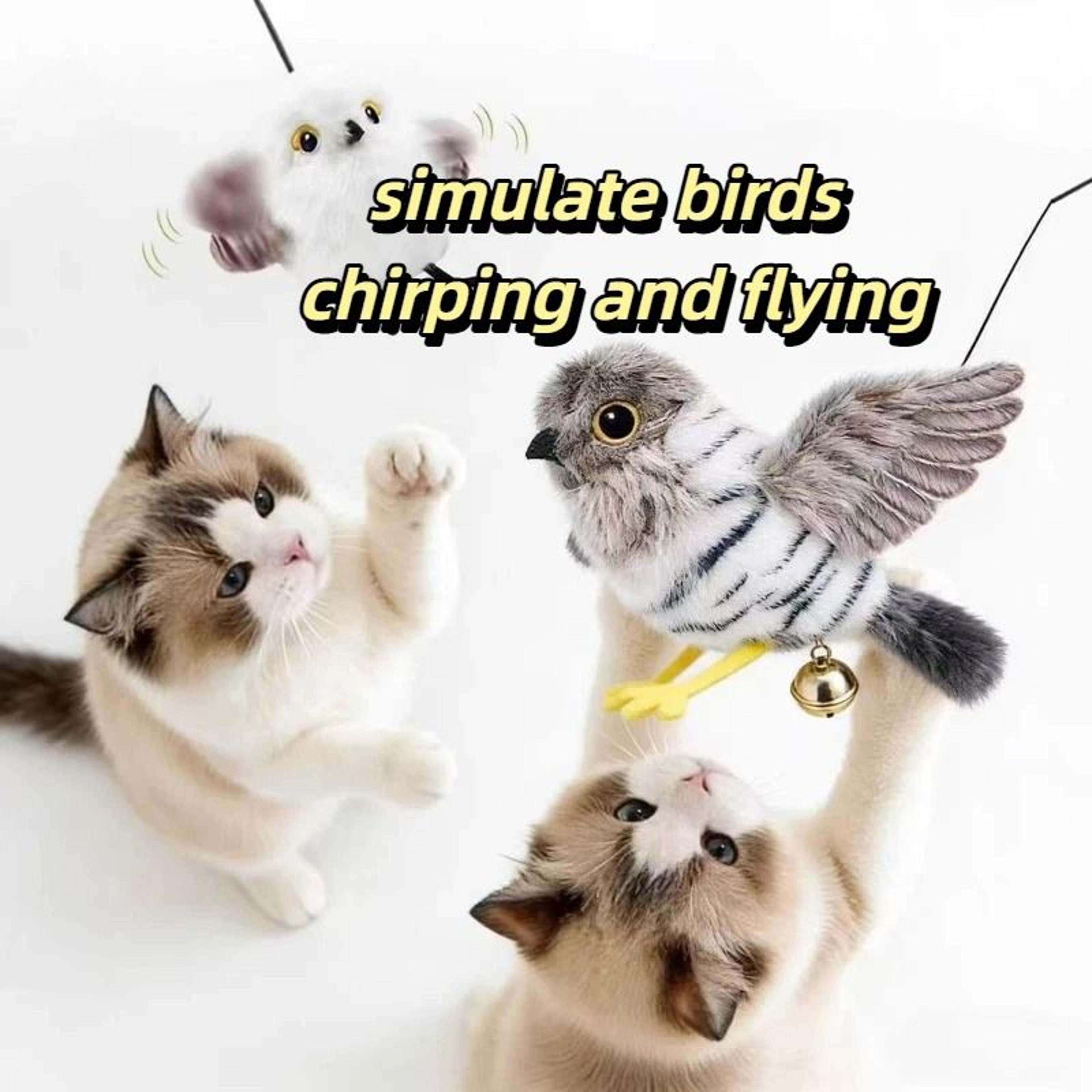 USB Rechargeable Chirping Bird Cat Toy Touch Activated Flapping Wings For Indoor Exercise Play 6