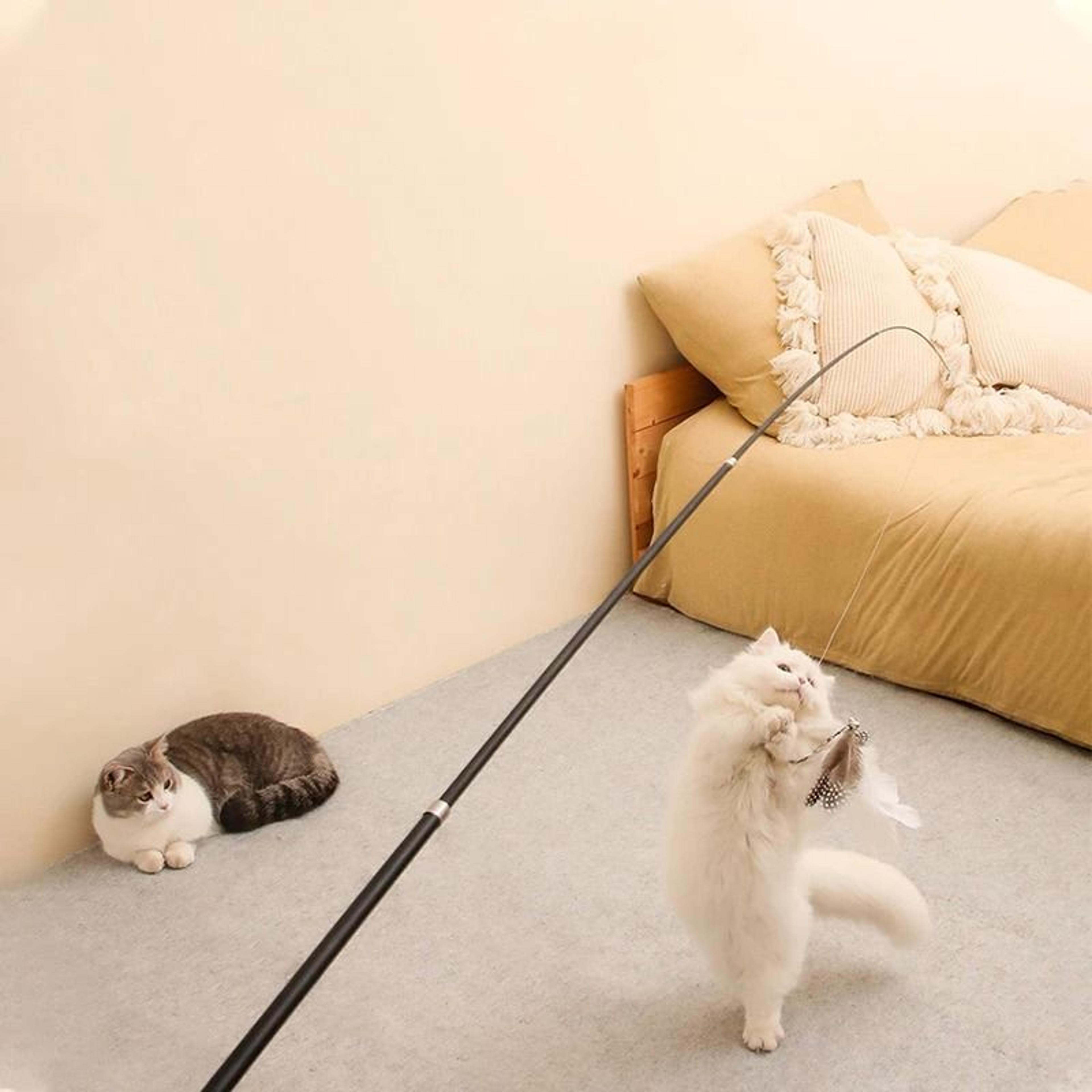 Extra Long Telescopic Cat Wand Feather Toy For Interactive Indoor Exercise And Boredom Relief 0