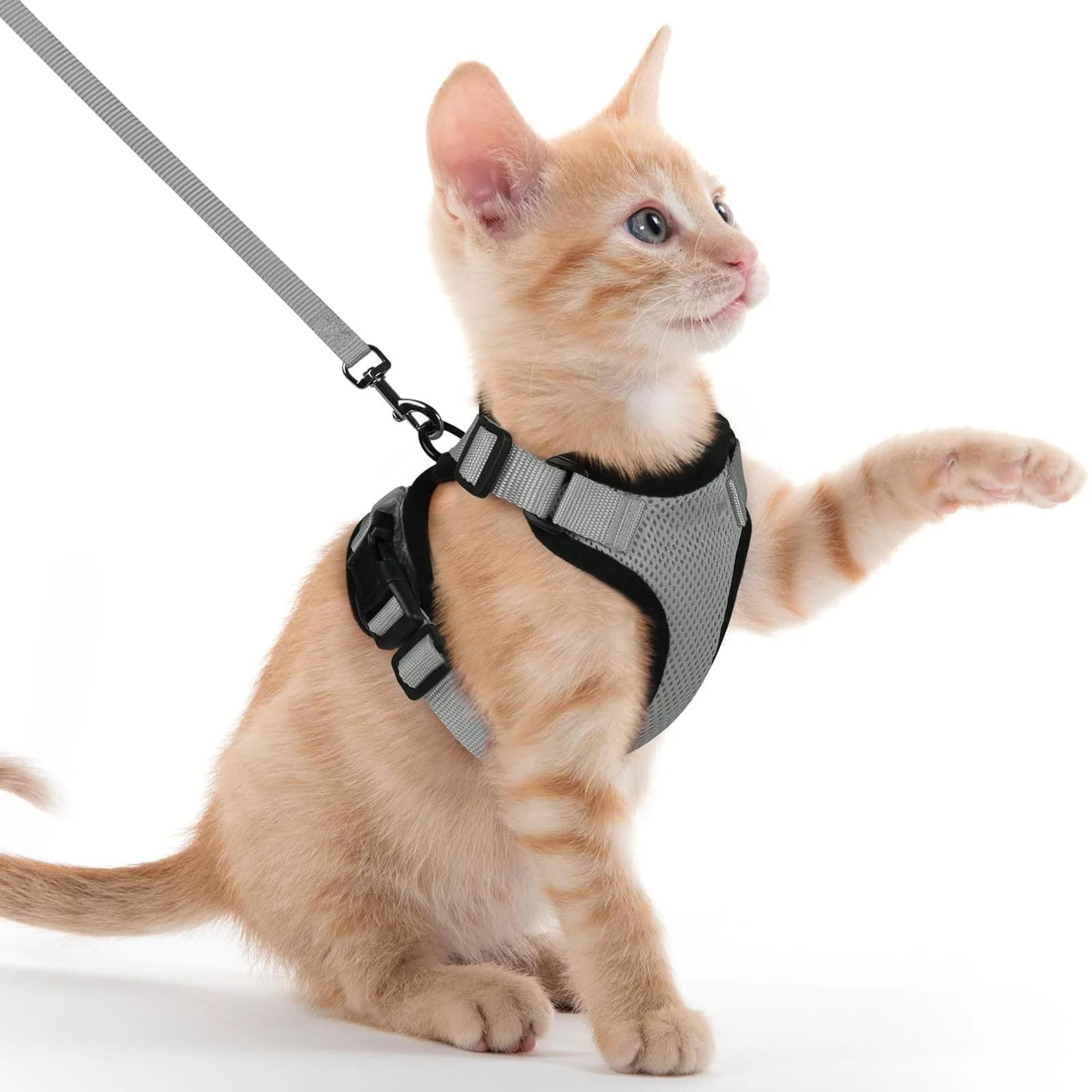 Adjustable Reflective Cat Harness And Leash Set Escape Proof Mesh Vest For Small Pets 3