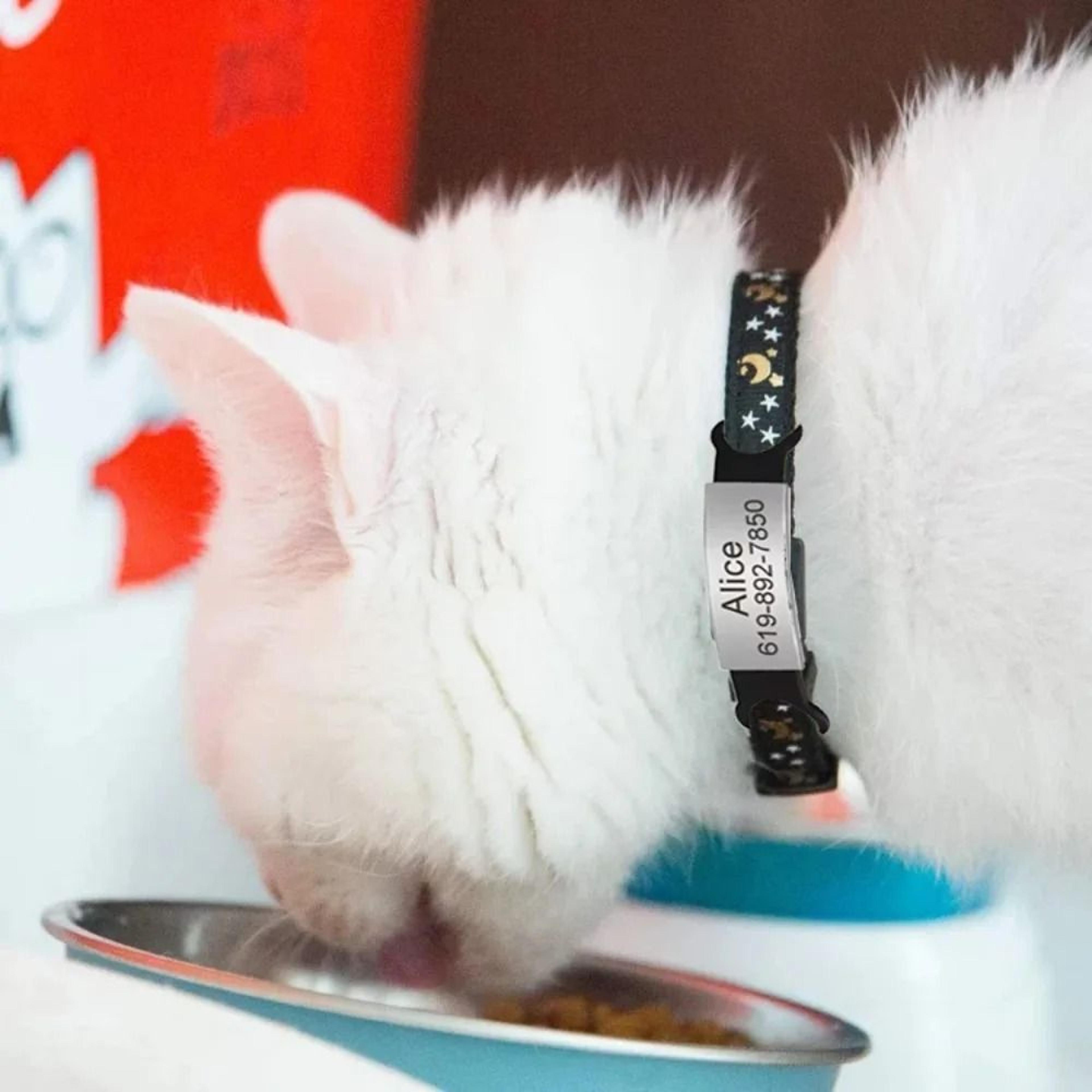 Reflective Star Moon Personalized Cat Collar With Engraved Nameplate Bell For Kitten Safety 13