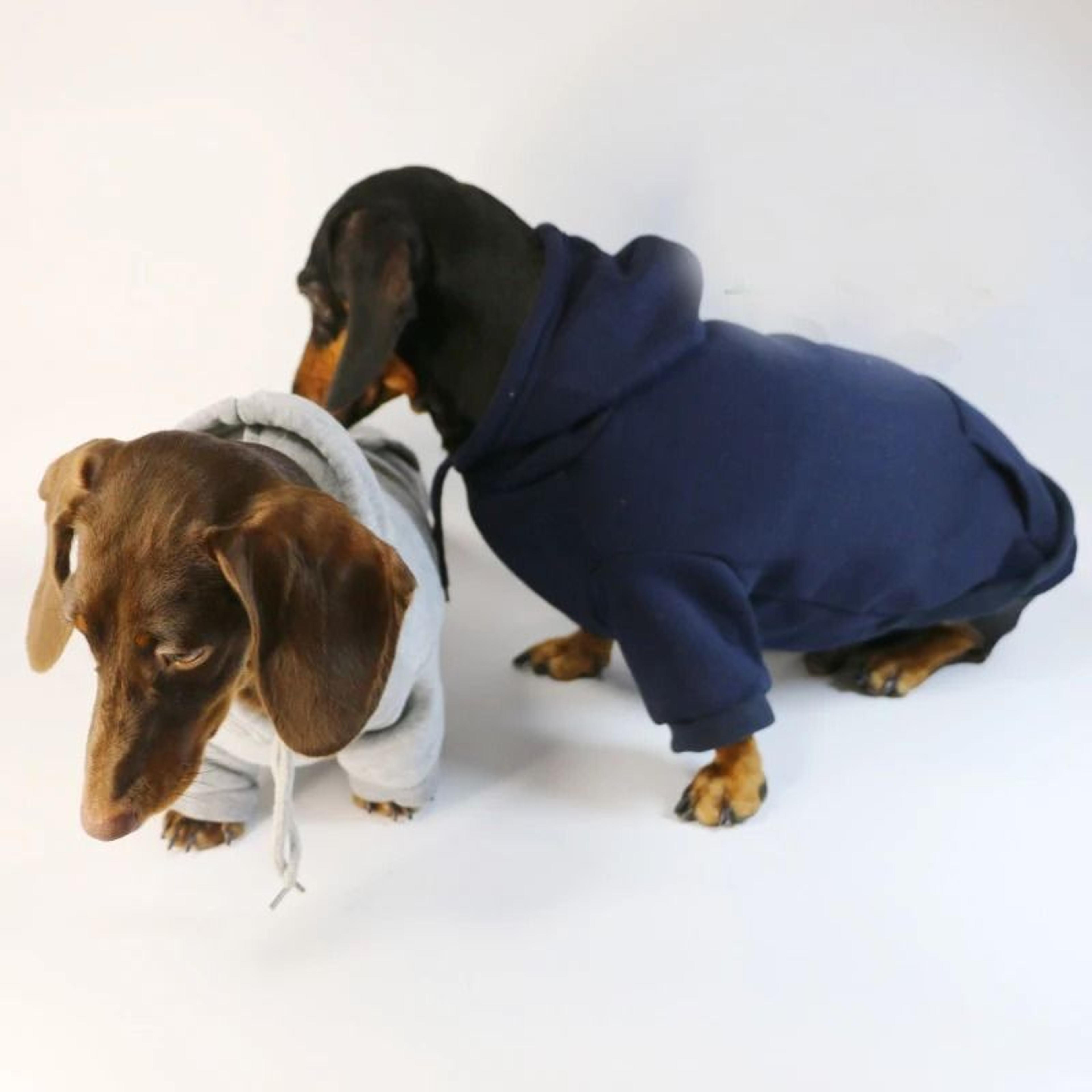 warm dachshund dog hoodie pullover for small dogs puppy winter clothes and cozy costume wear