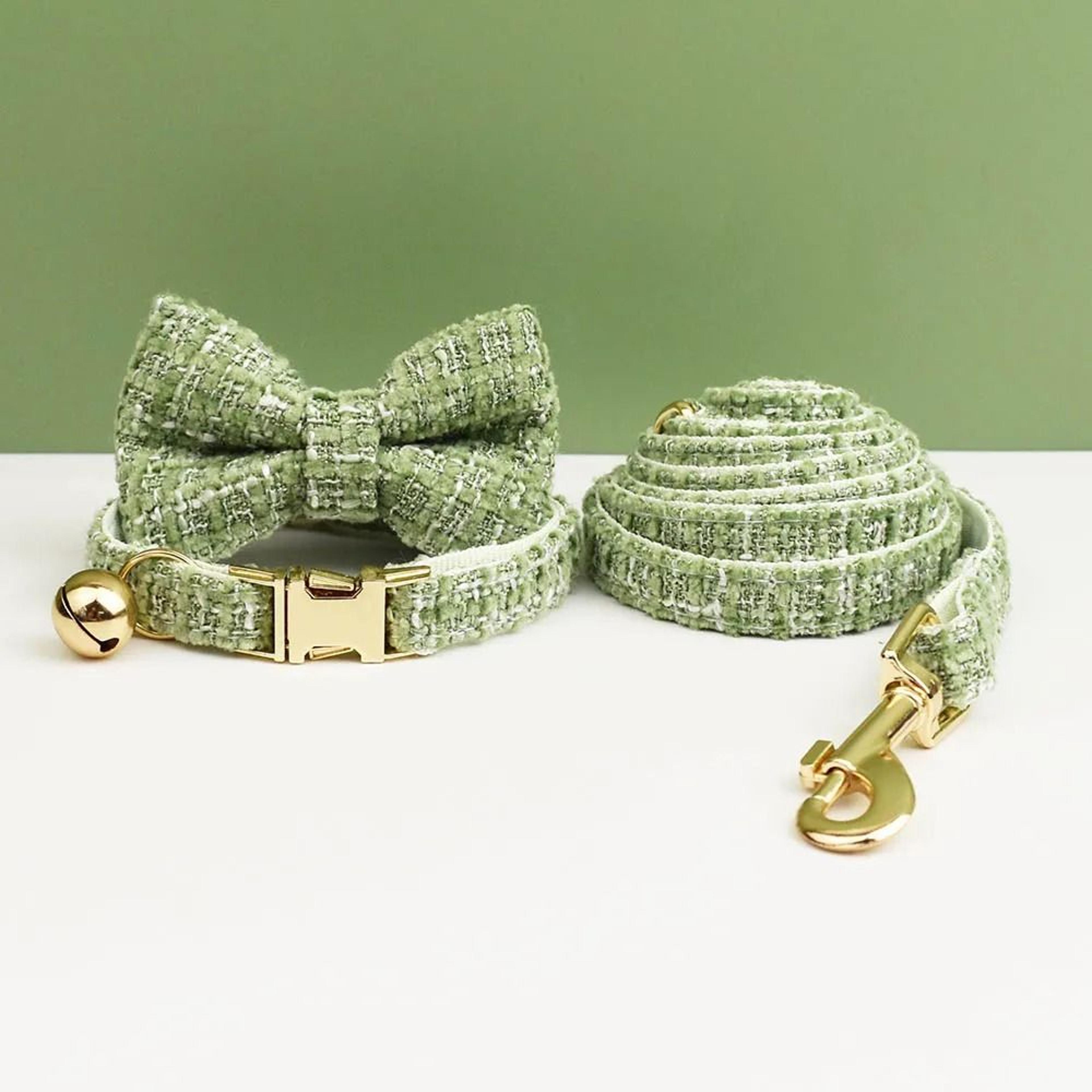 Personalized Cat Collar And Leash Set With Bell And Engraved ID Tag 19