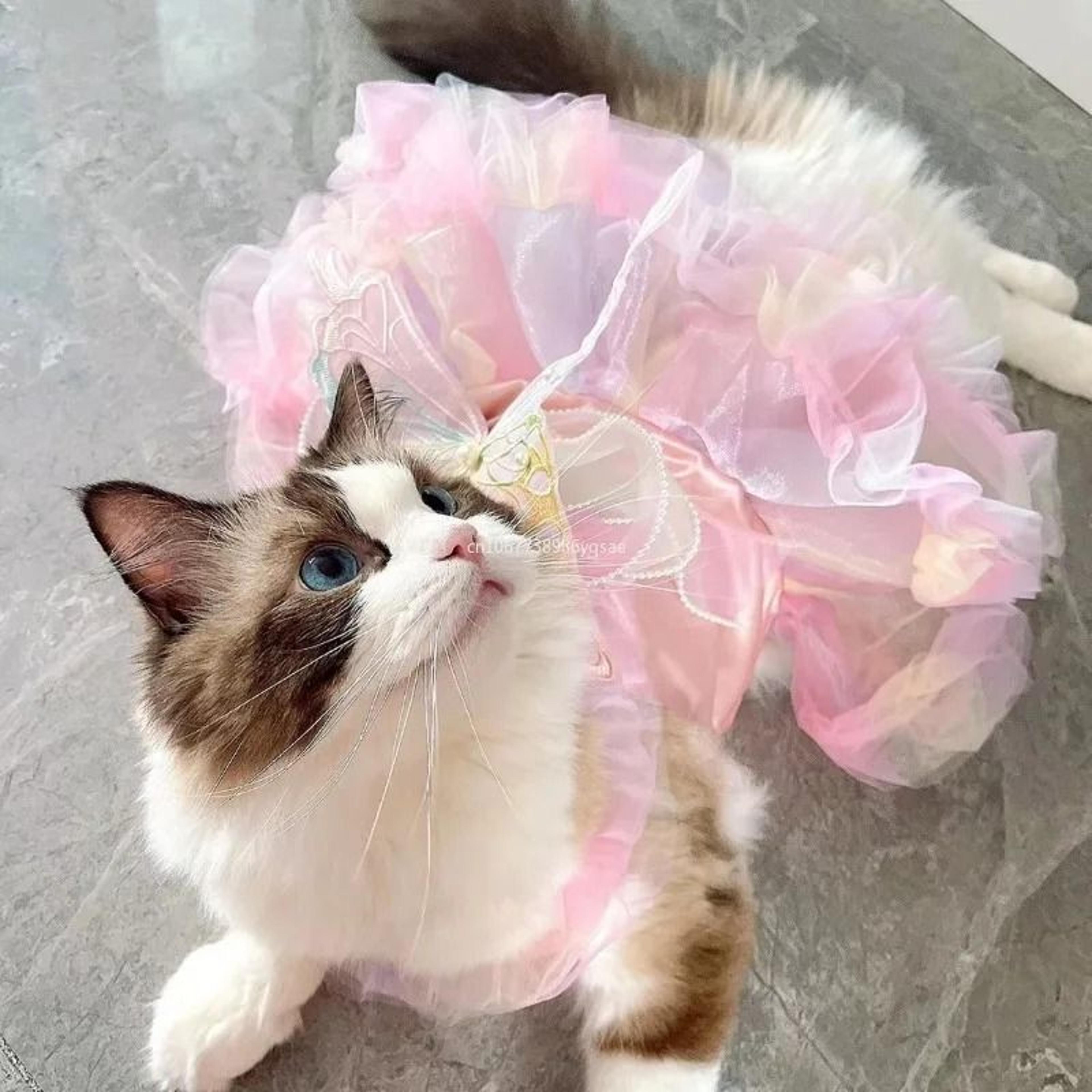 summer princess pet dress for cats dogs rabbits and puppies