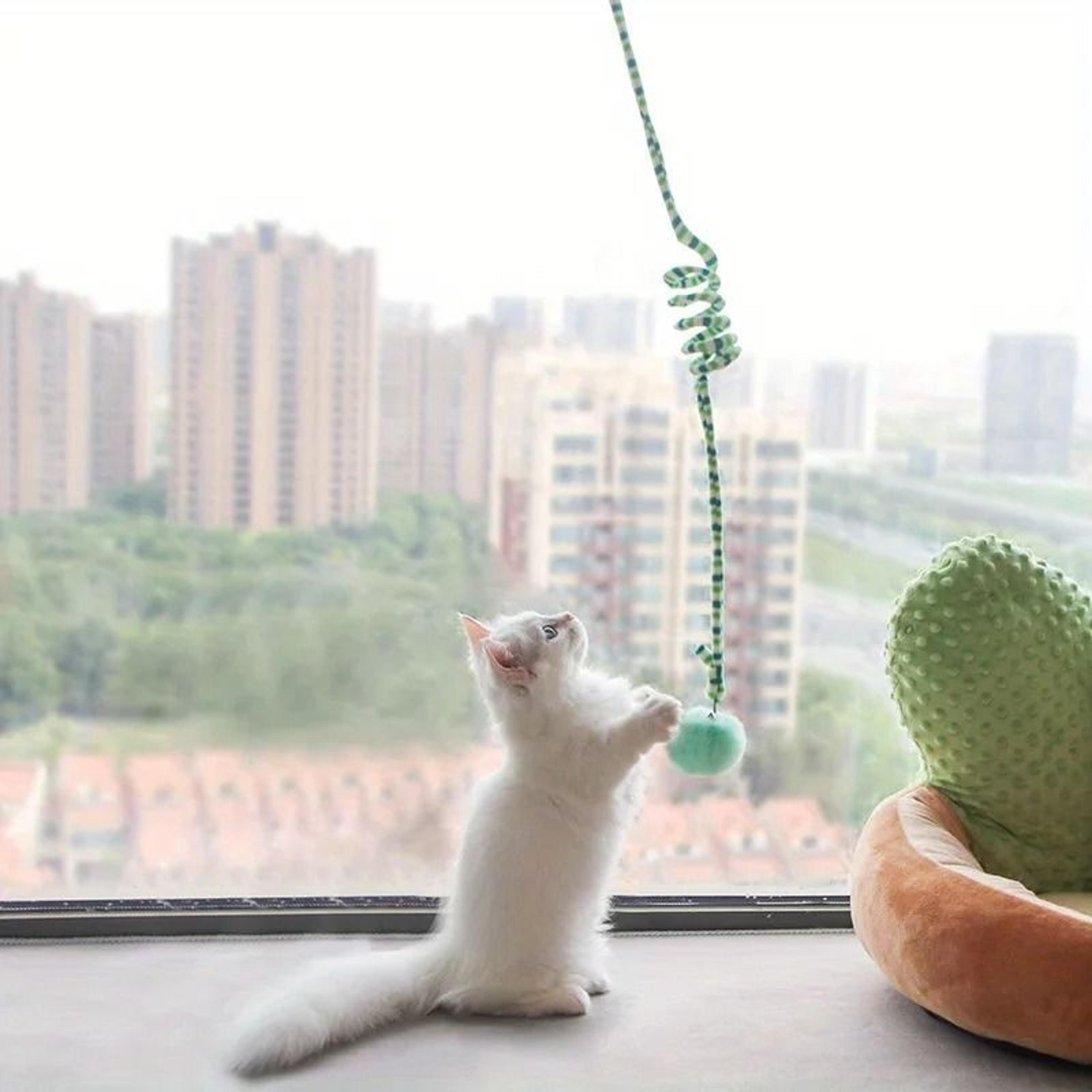 Interactive Hanging Cat Teaser Toy With Bell 10
