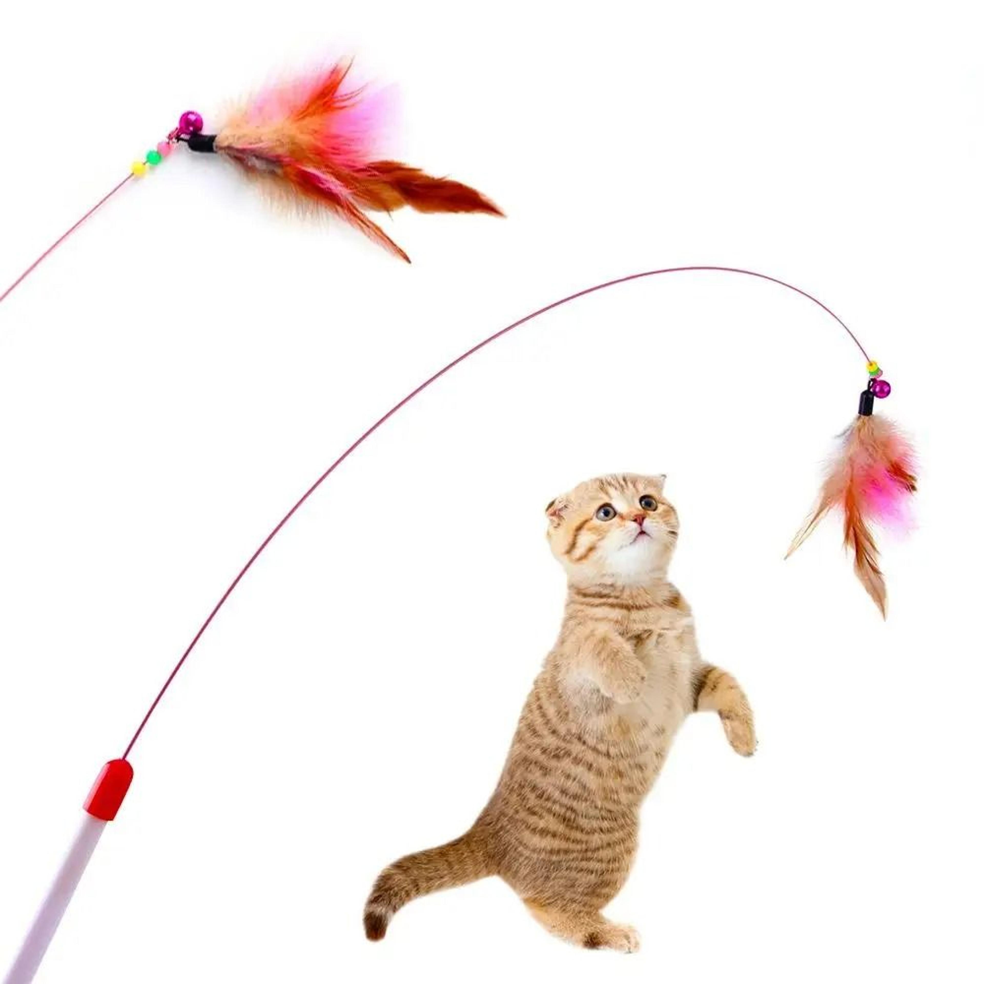 metal wire cat teaser wand with feather and bell