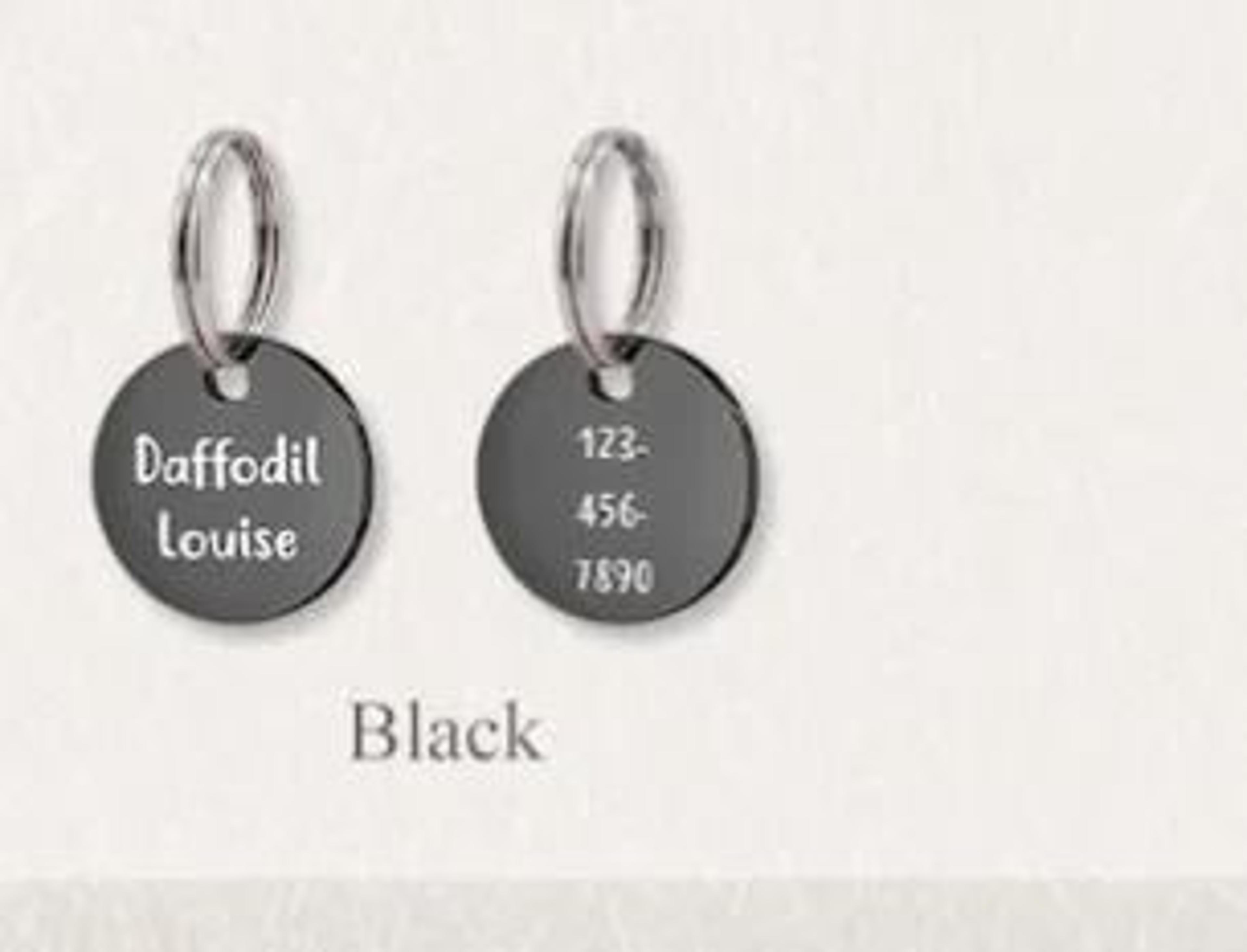 Personalized Mini Pet ID Tag For Cats Puppies And Anti Lost Collar Safety 2