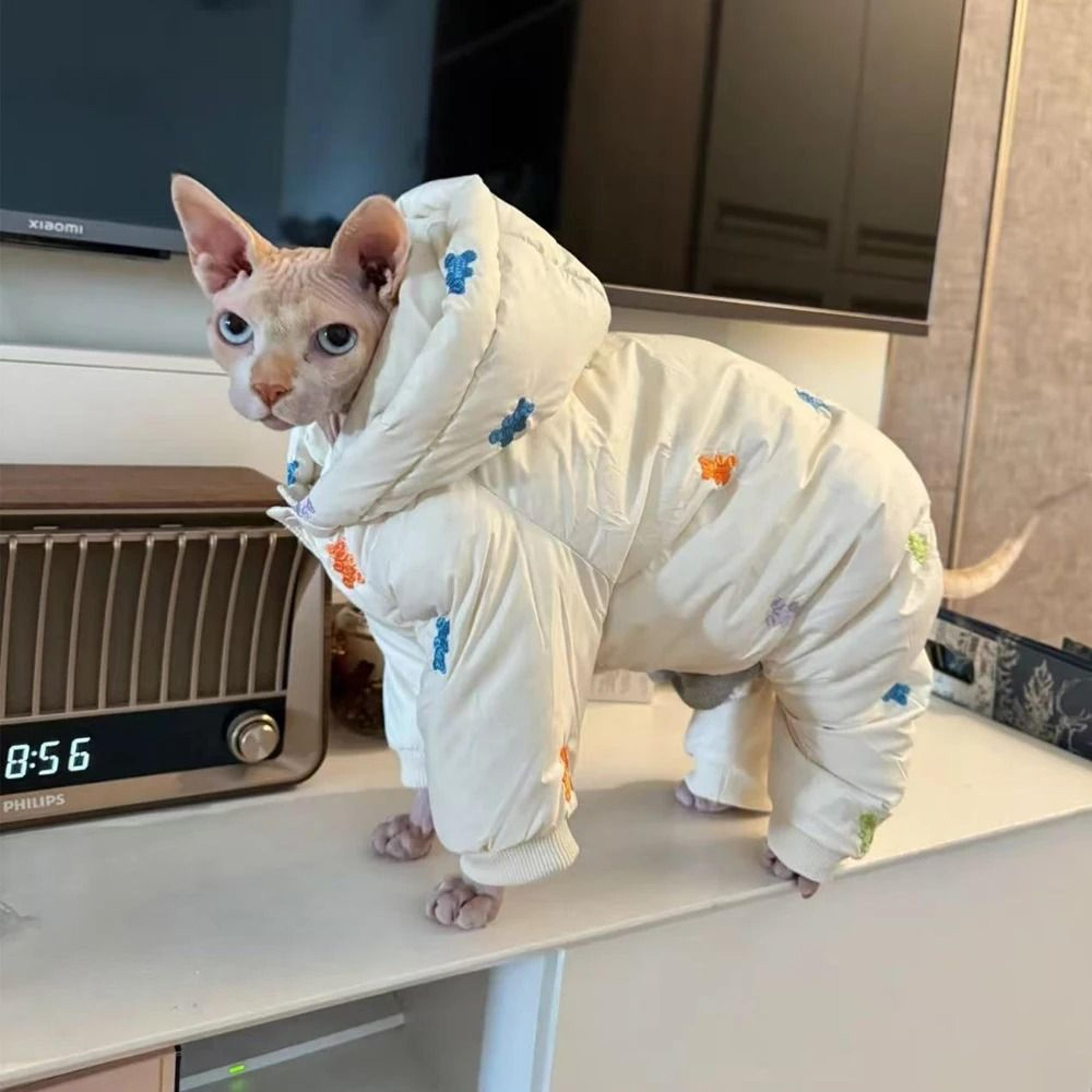 Winter White Sphynx Cat Jacket For Devon Rex Kittens And Cold Weather Comfort 6