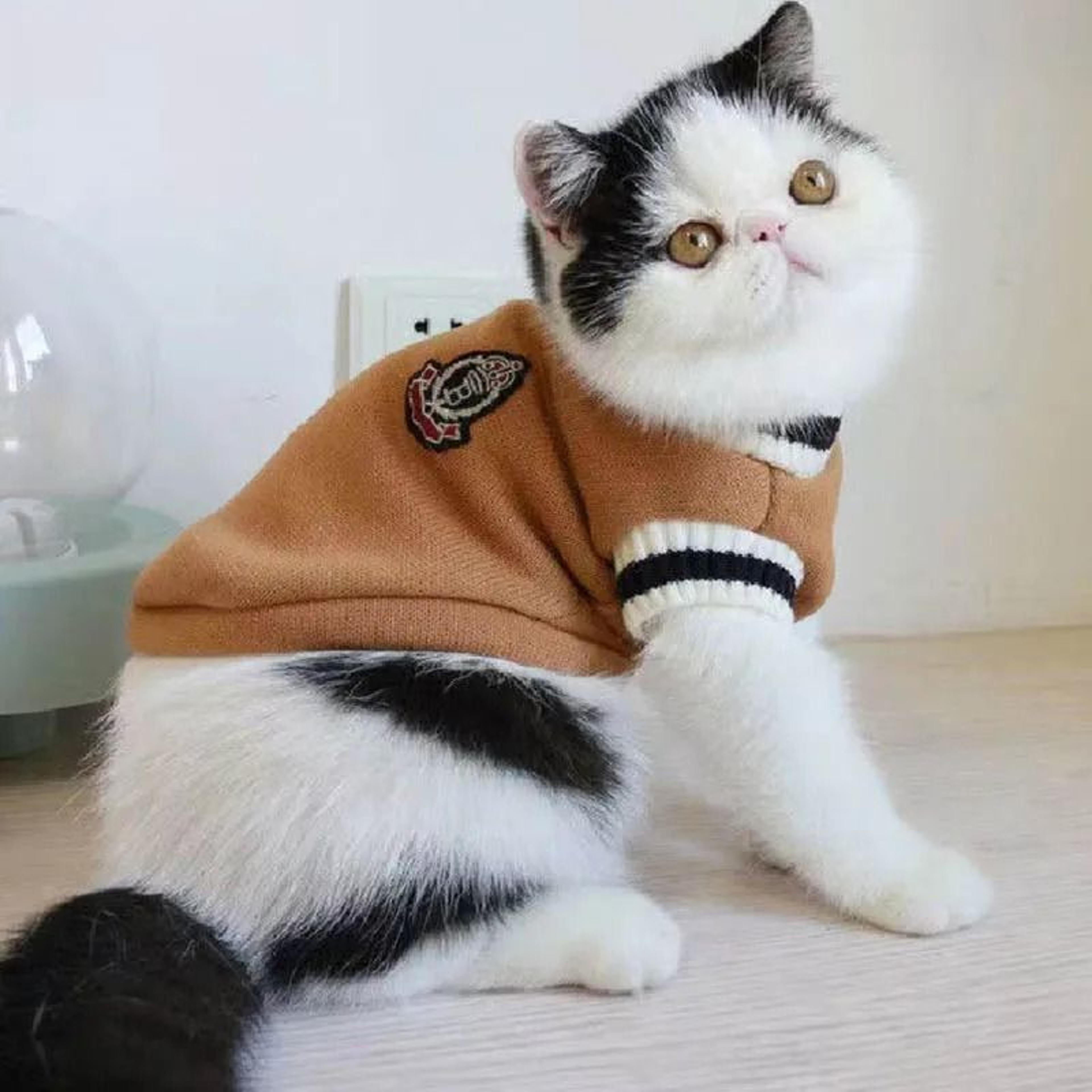 Warm Cat Dog Sweater Pullover Winter Vest For Small Dogs Puppies And Kittens 6