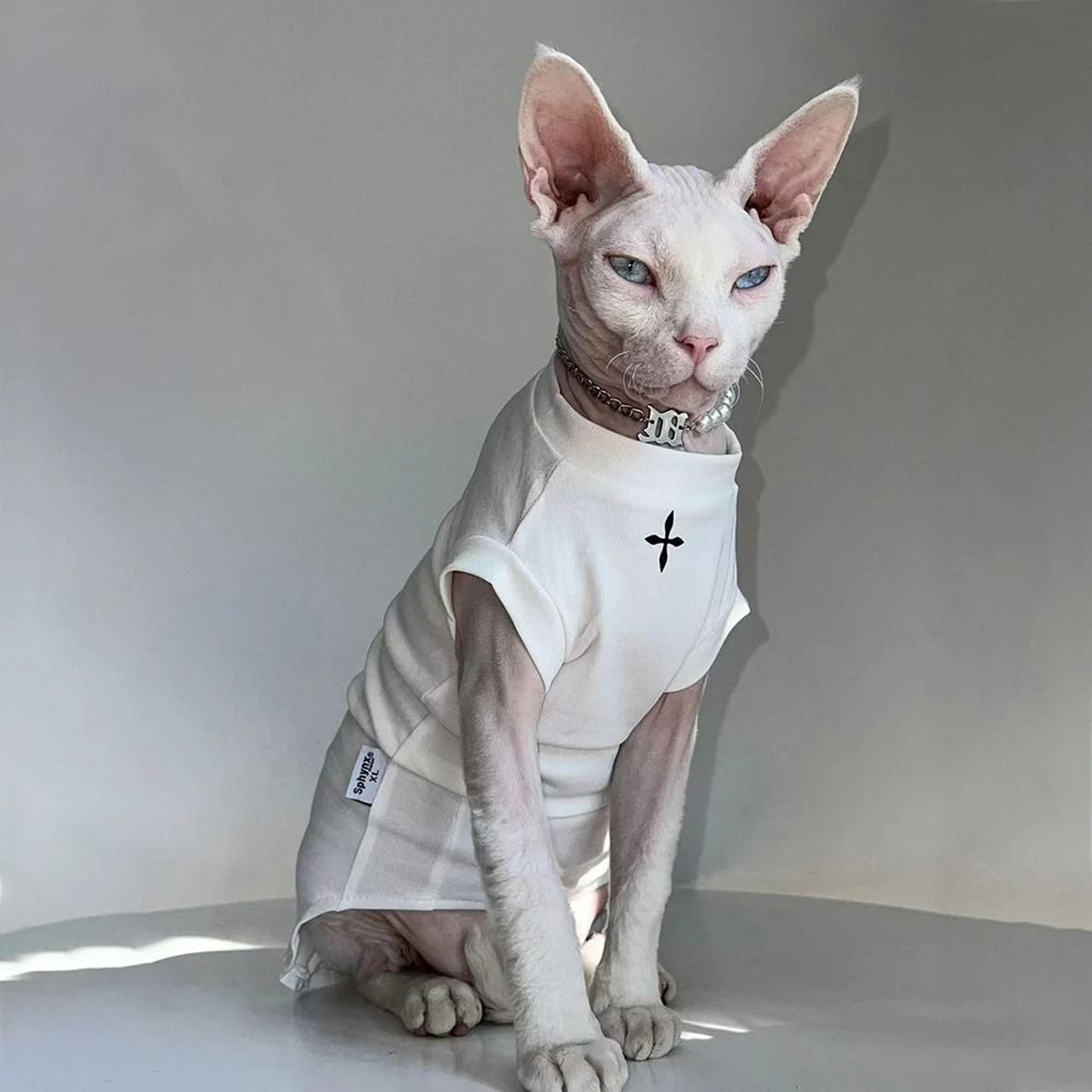 Sphynx Cat Clothes Black Cotton Pullover Shirt For Hairless Cats And Kittens 1