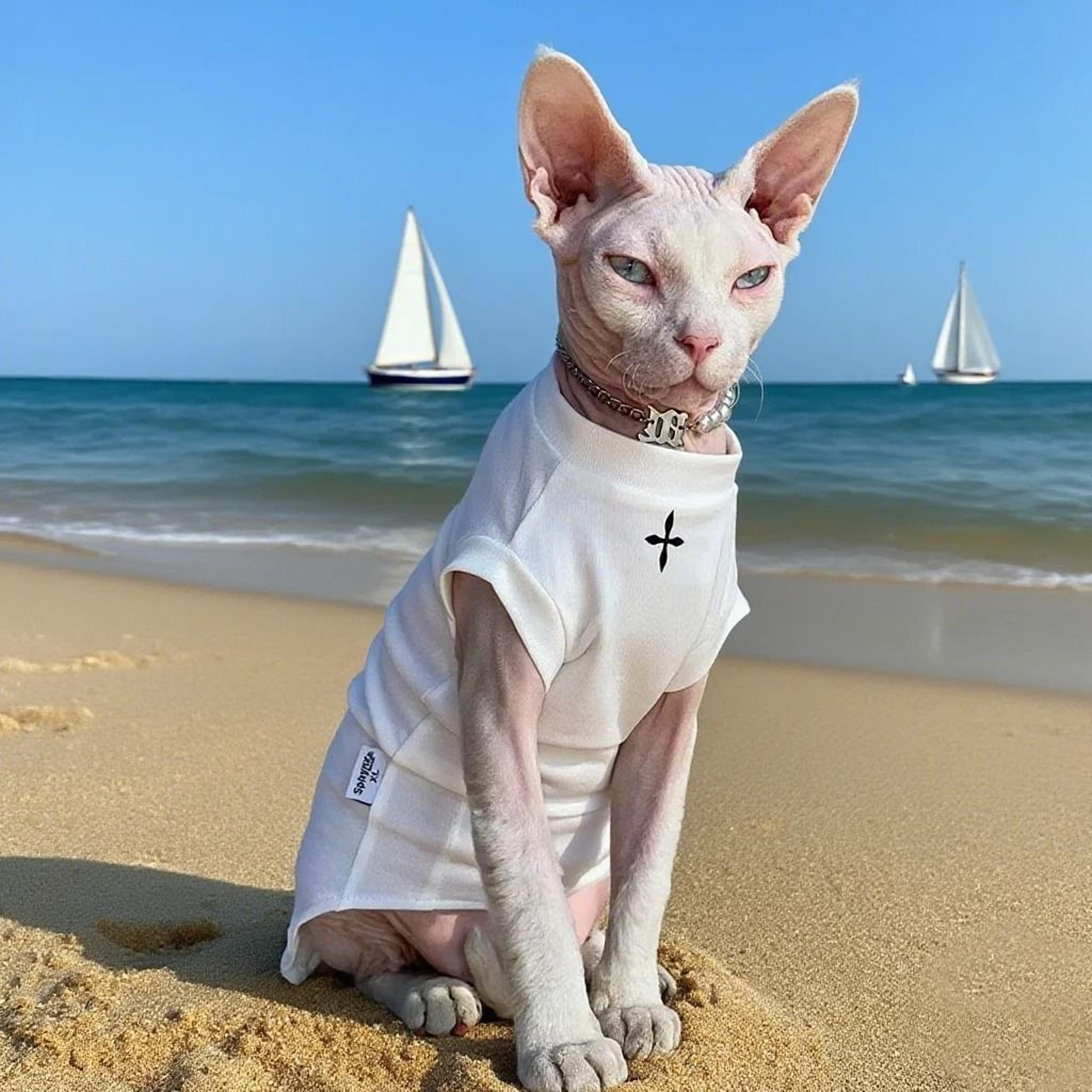 Sphynx Cat Clothes Black Cotton Pullover Shirt For Hairless Cats And Kittens 3