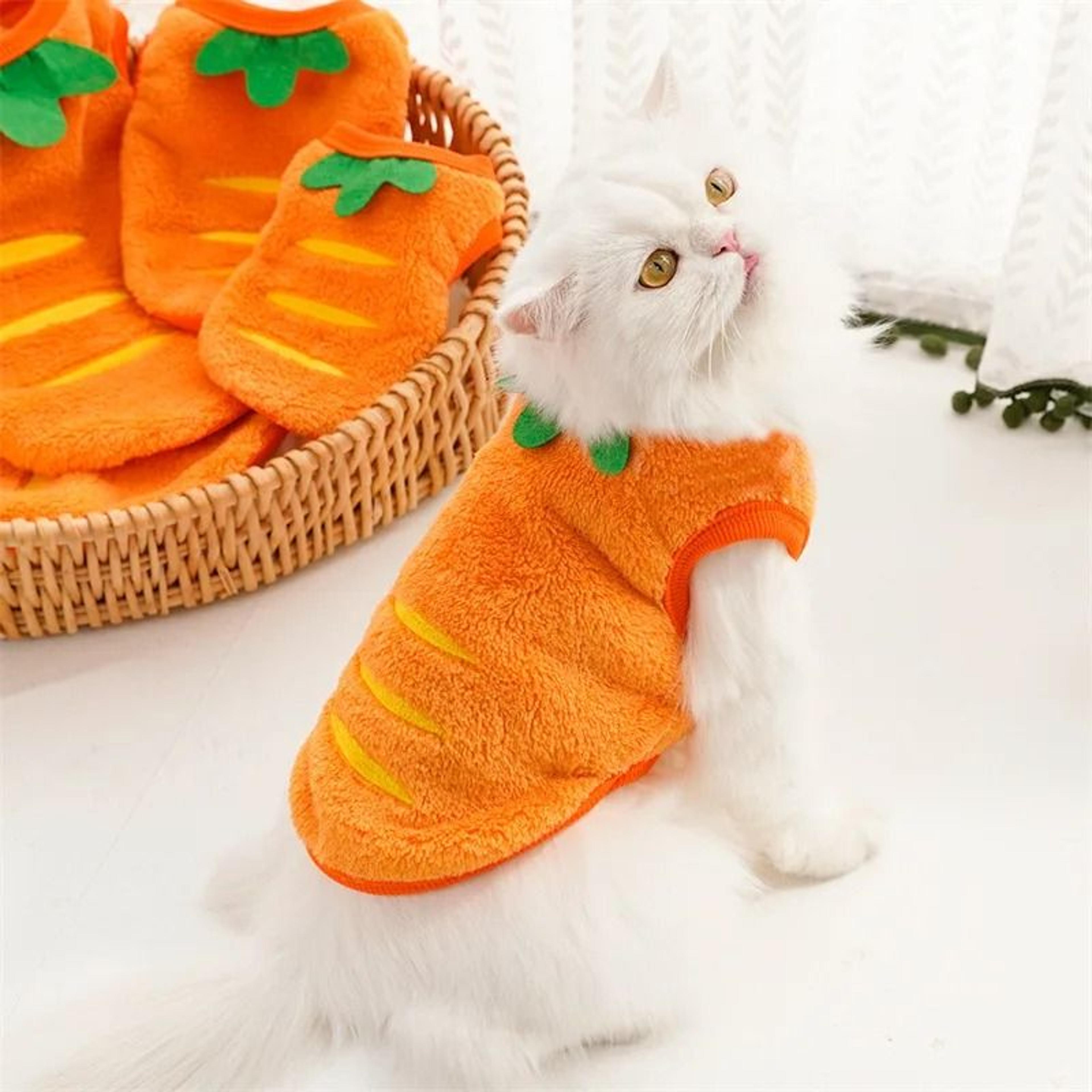 winter pet clothes soft fleece vest coat for small dogs cats chihuahua and yorkies