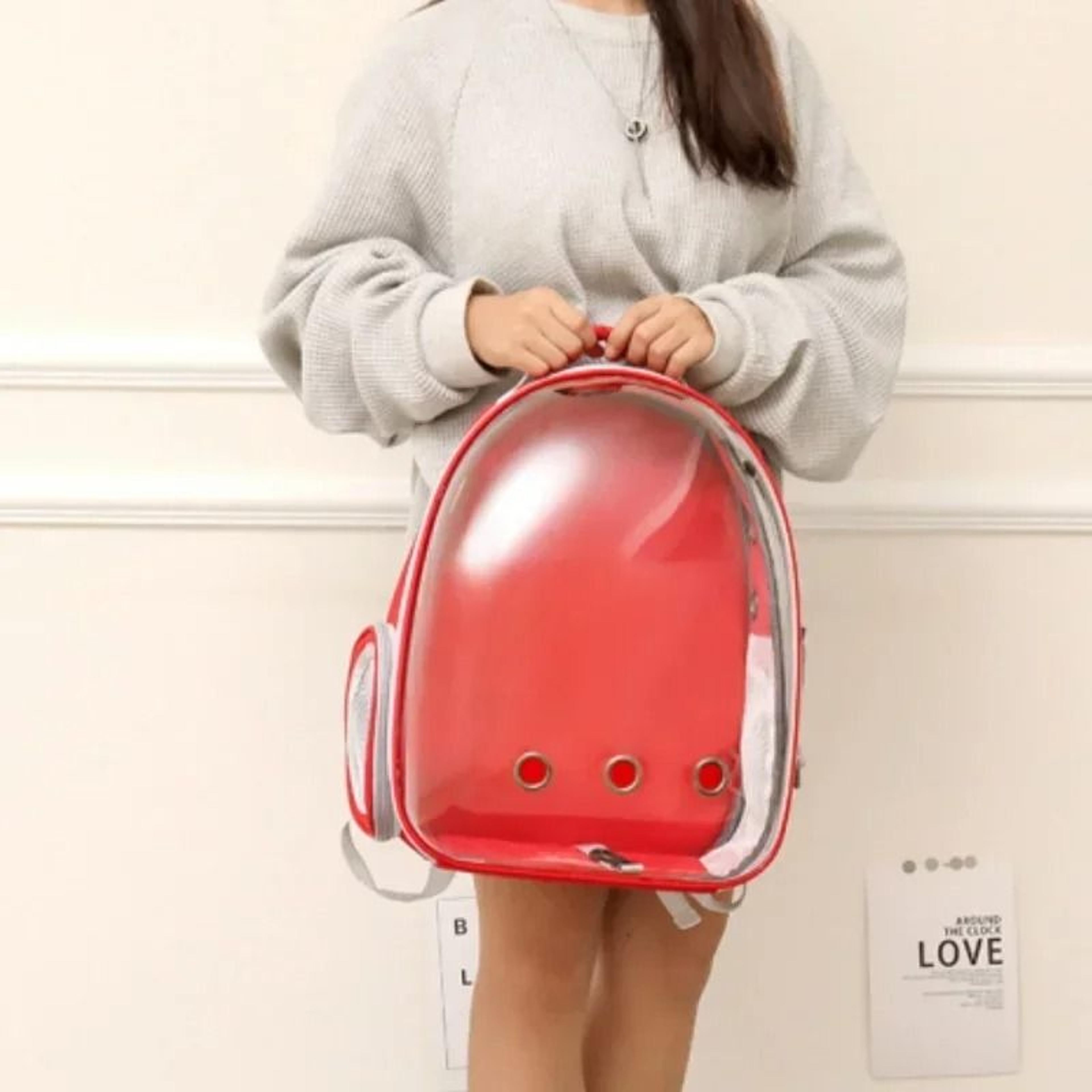 Cat Backpack Carrier Space Capsule Transparent Pet Bag For Cats And Puppies 12