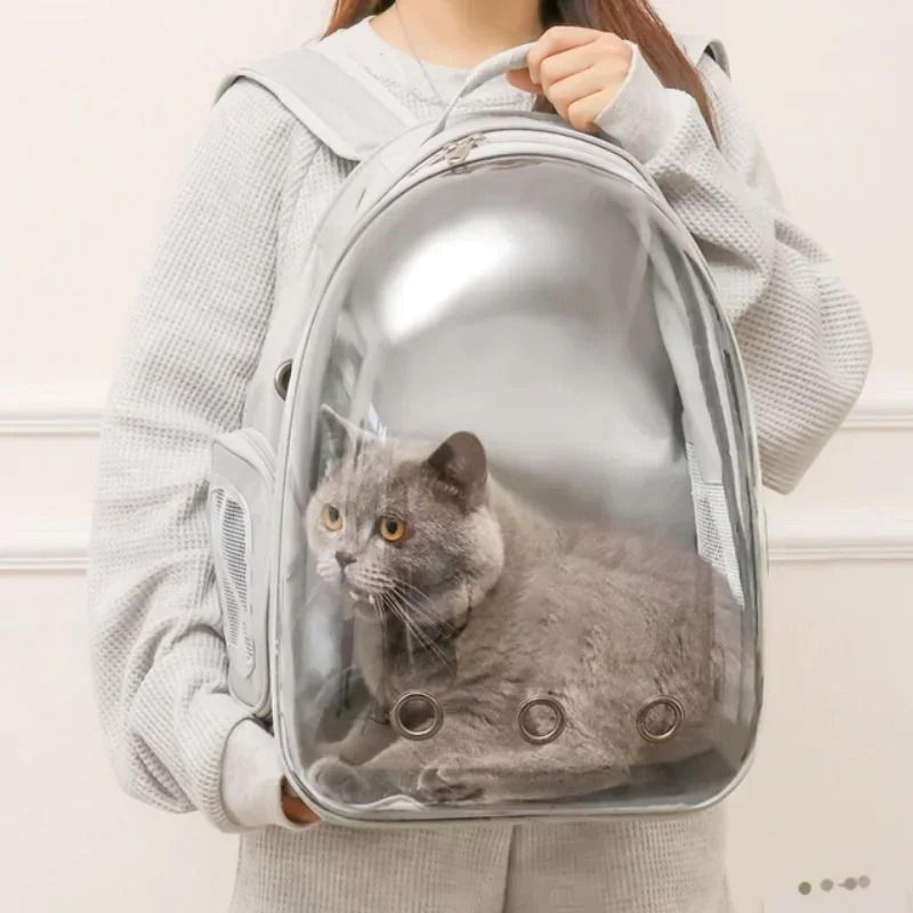 Cat Backpack Carrier Space Capsule Transparent Pet Bag For Cats And Puppies 14