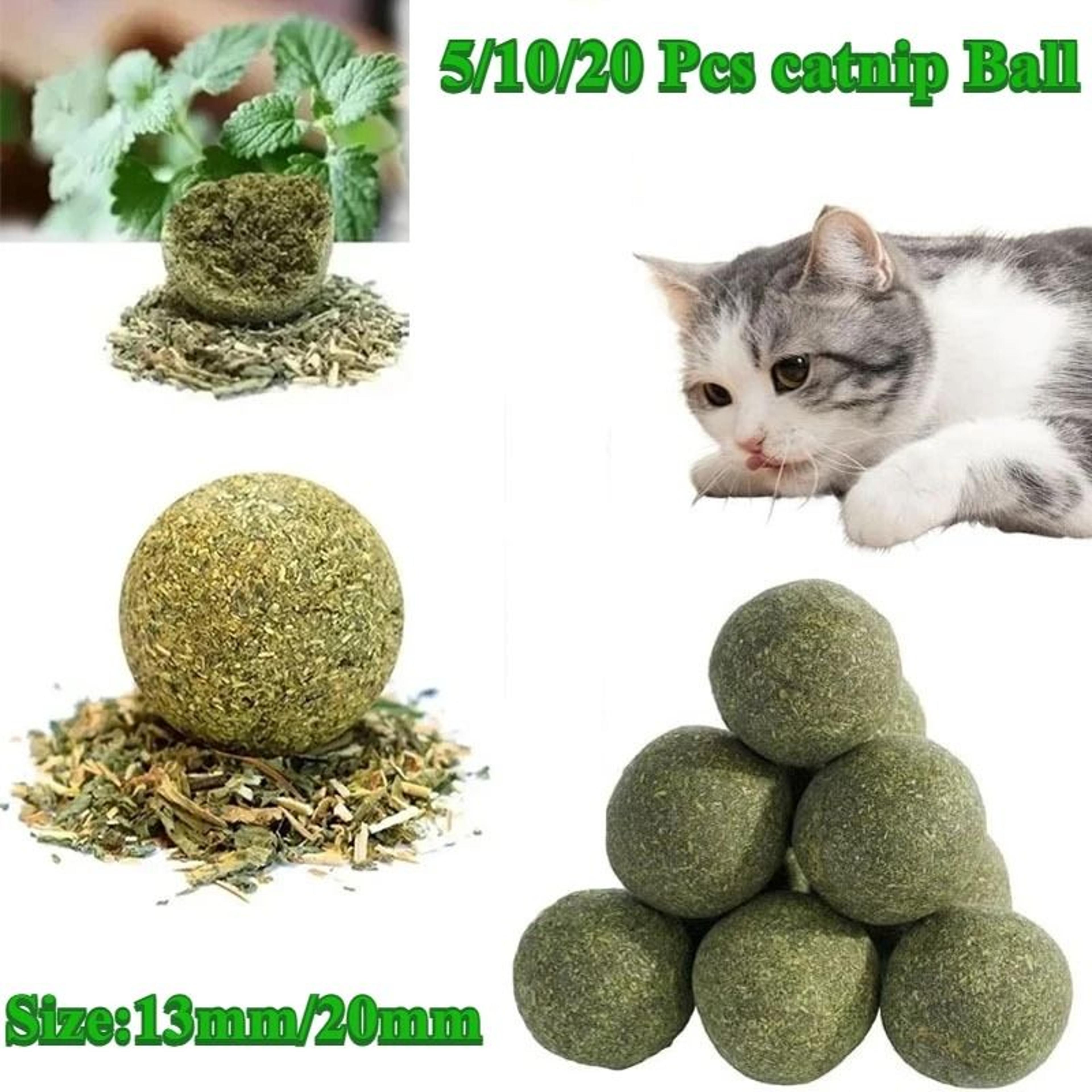 natural catnip balls for cats lickable kitten chew toy pack