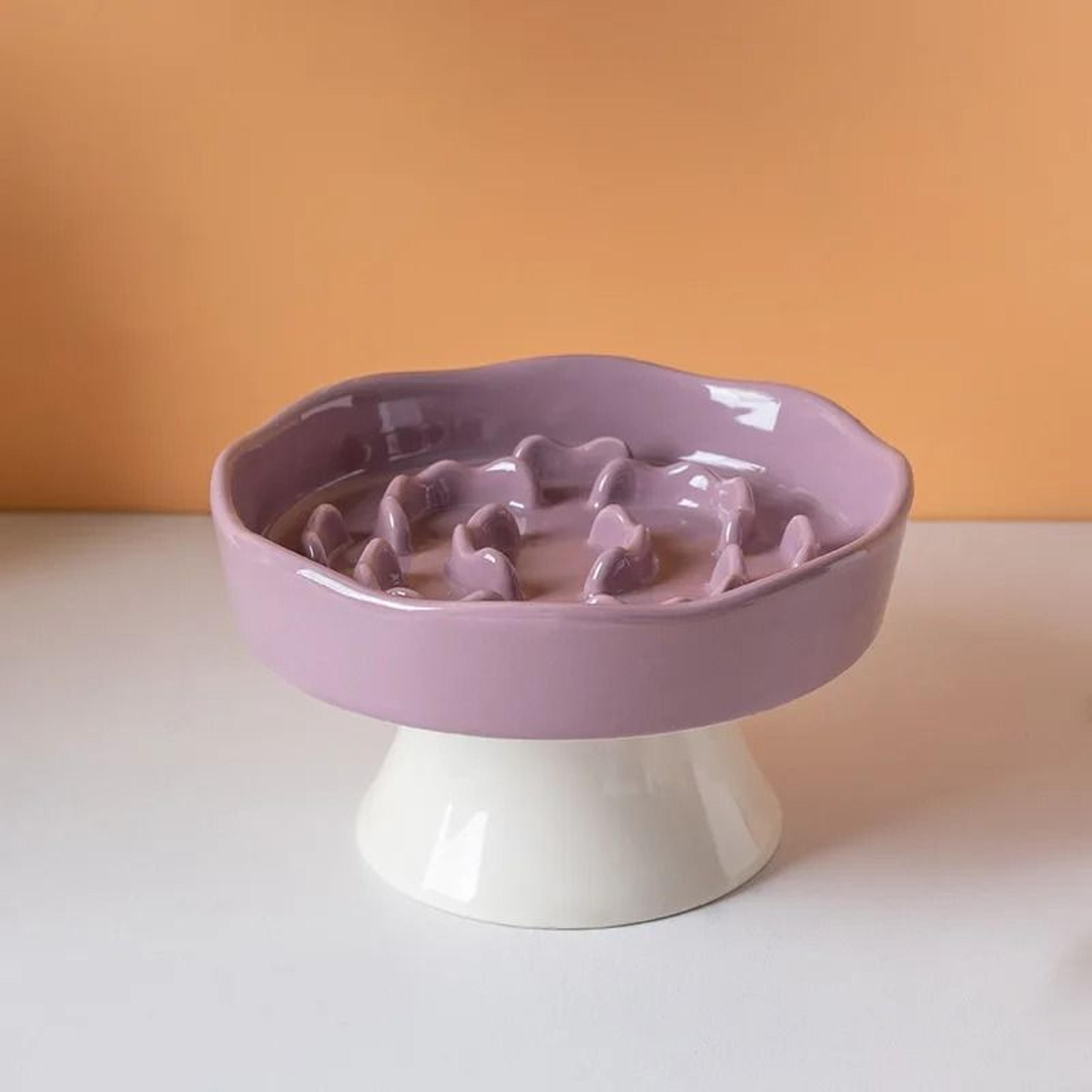 Elevated Ceramic Slow Feeder Cat Bowl High Leg Anti Choke Dish For Comfortable Feeding 5