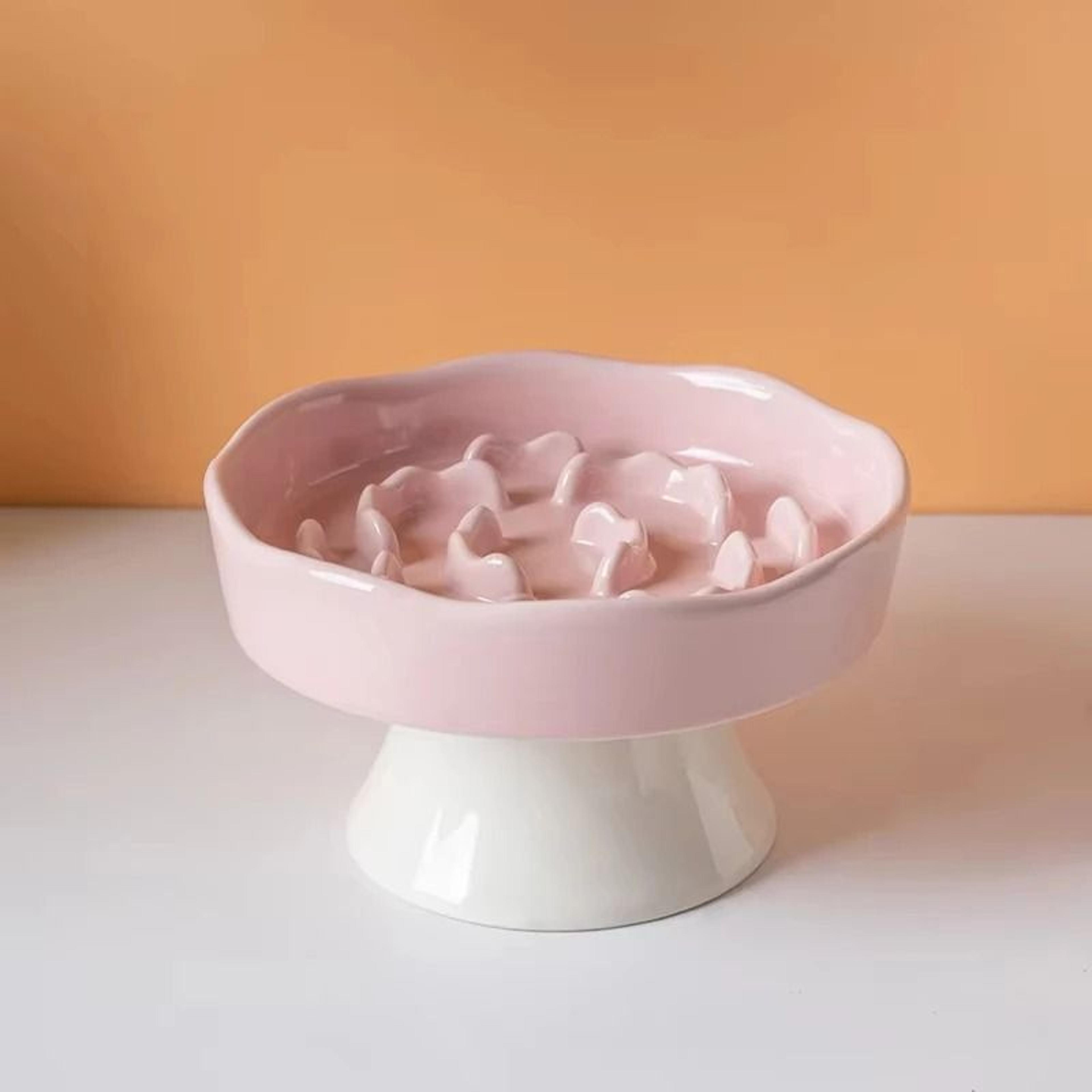 Elevated Ceramic Slow Feeder Cat Bowl High Leg Anti Choke Dish For Comfortable Feeding 10