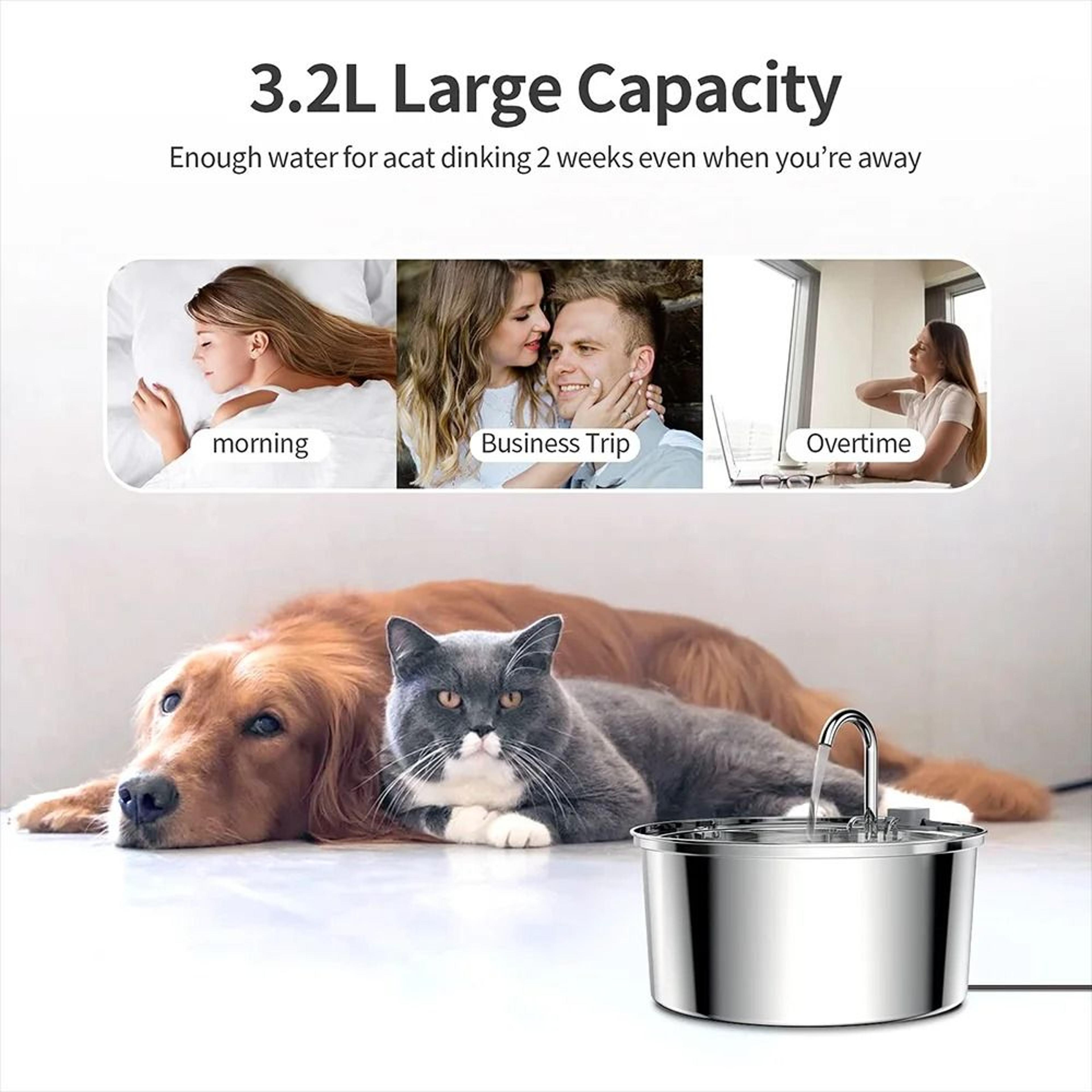 Stainless Steel Cat Water Fountain USB Quiet Automatic Pet Drinking Bowl For Cats And Dogs 4