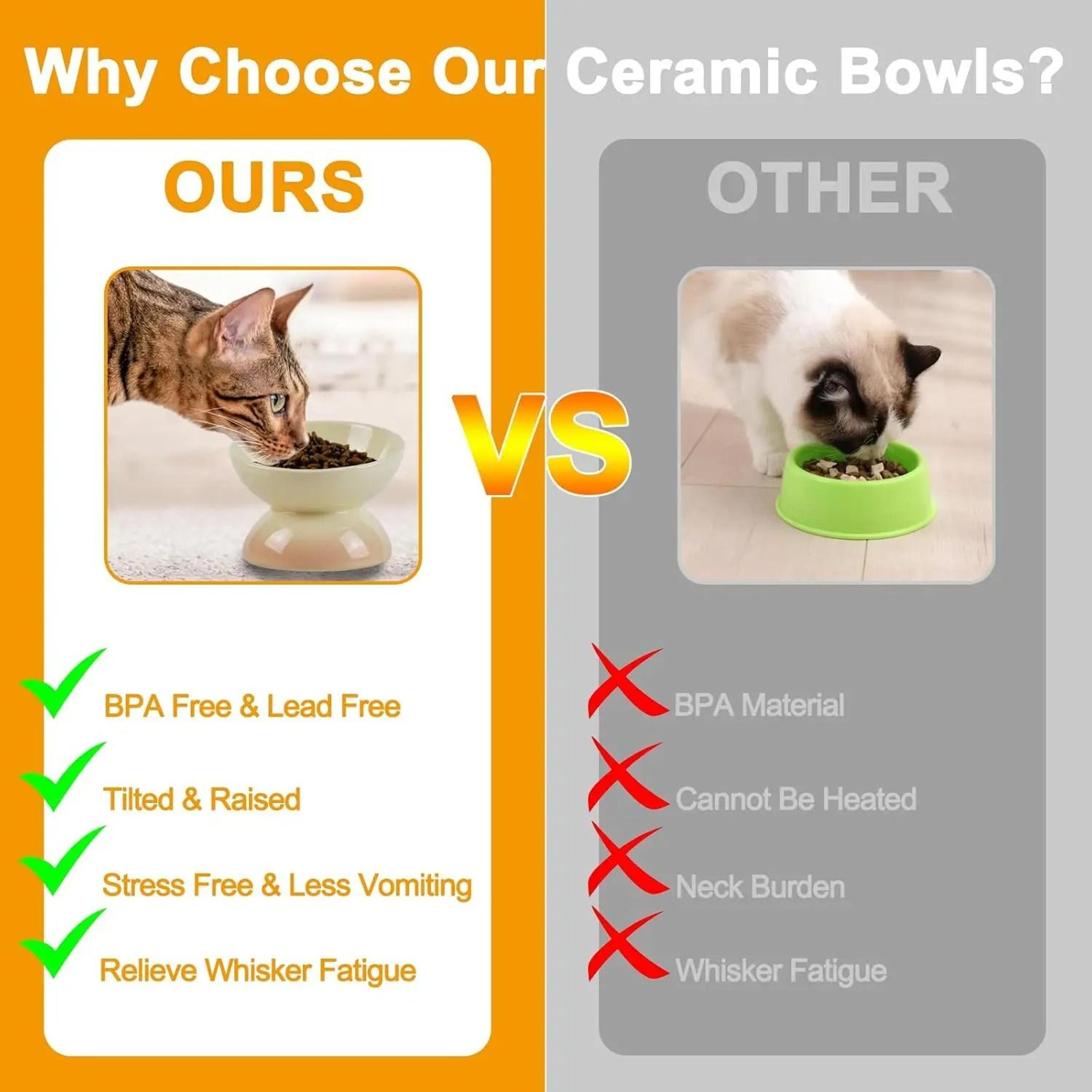 Ceramic Elevated Cat Bowl Tilted Food Dish For Comfortable Feeding And Easy Cleaning 6