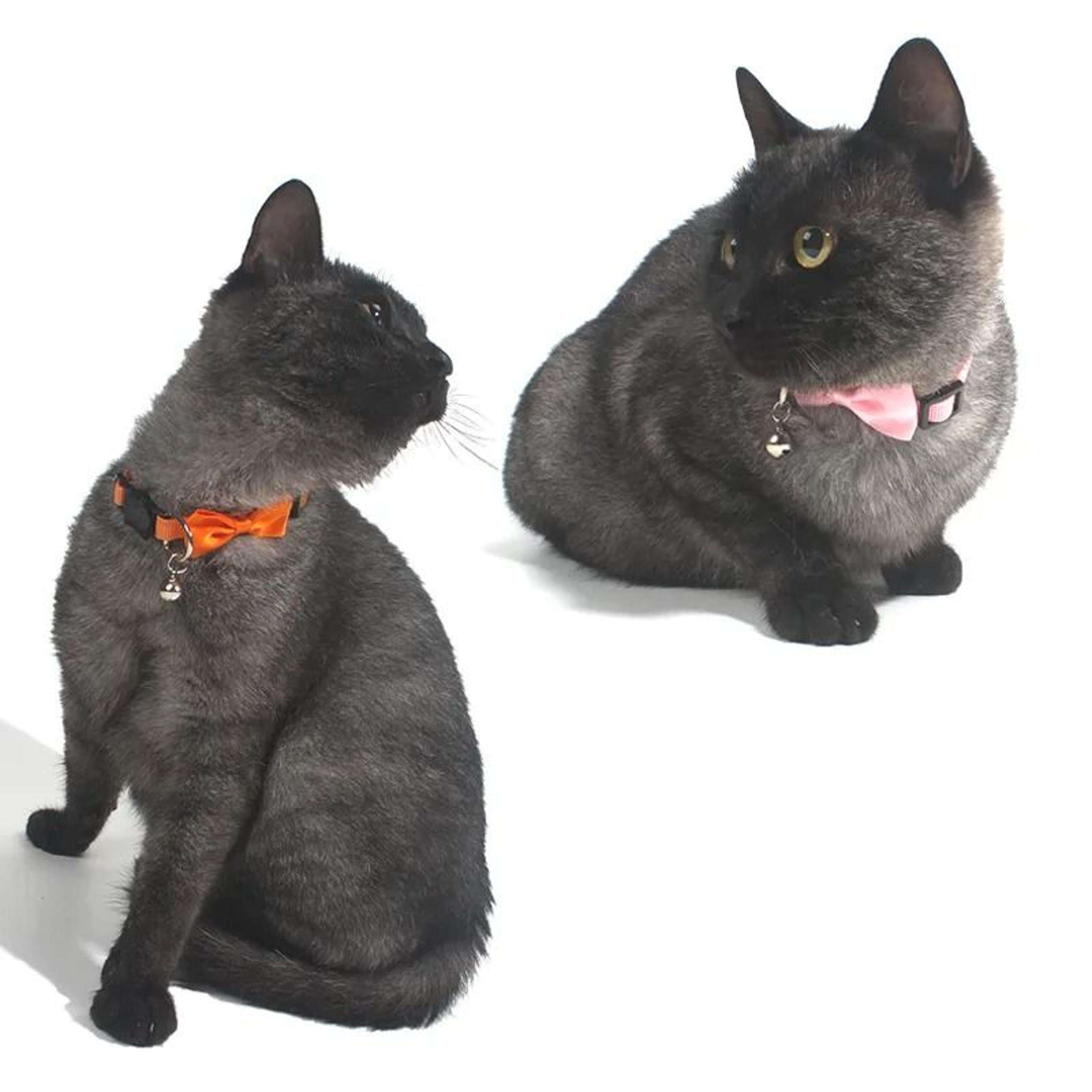 Adjustable Bow Cat Collar With Bell For Cute Pet Styling 11