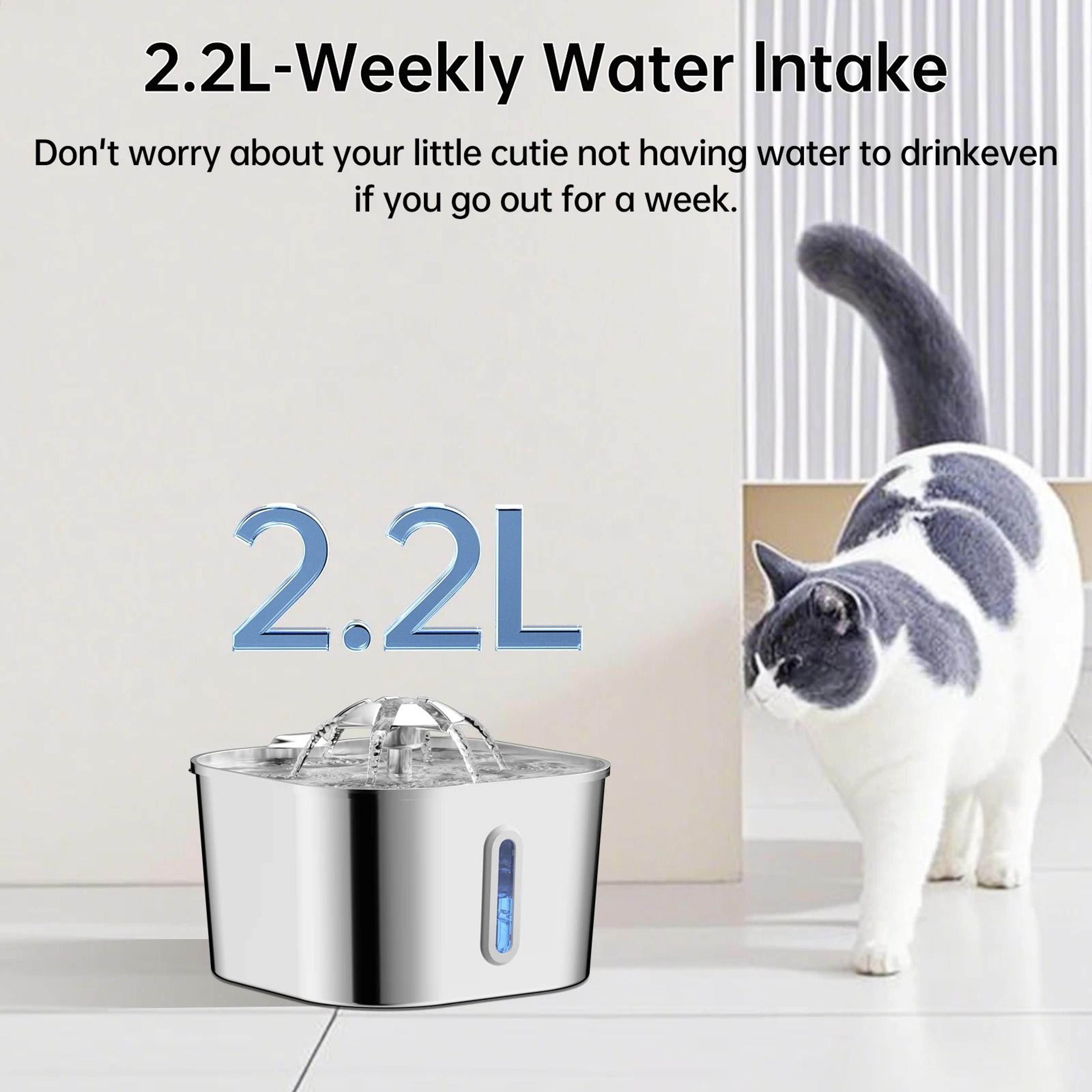 Stainless Steel Cat Water Fountain With Quiet Pump 7