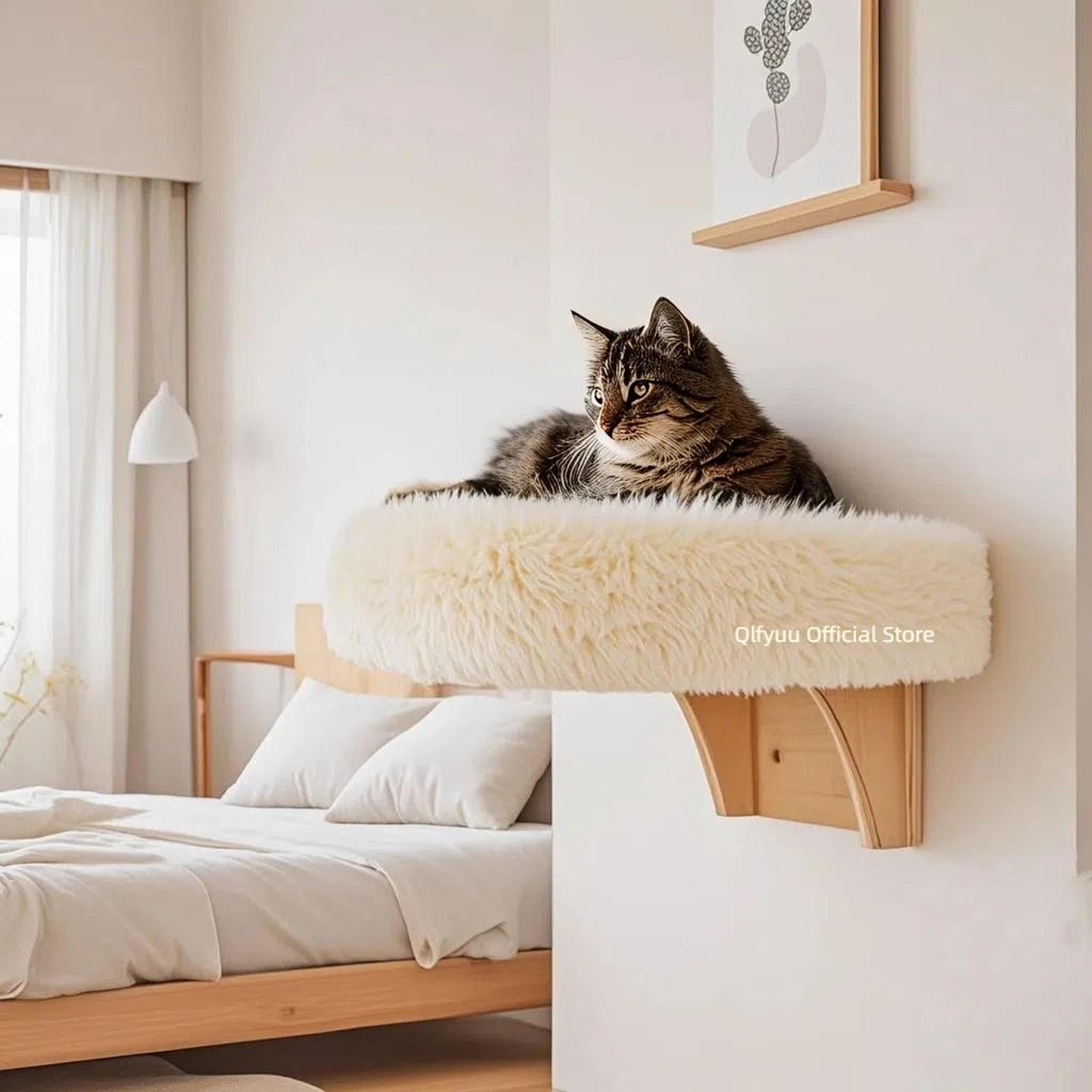 wall mounted wooden cat perch bed for indoor lounging