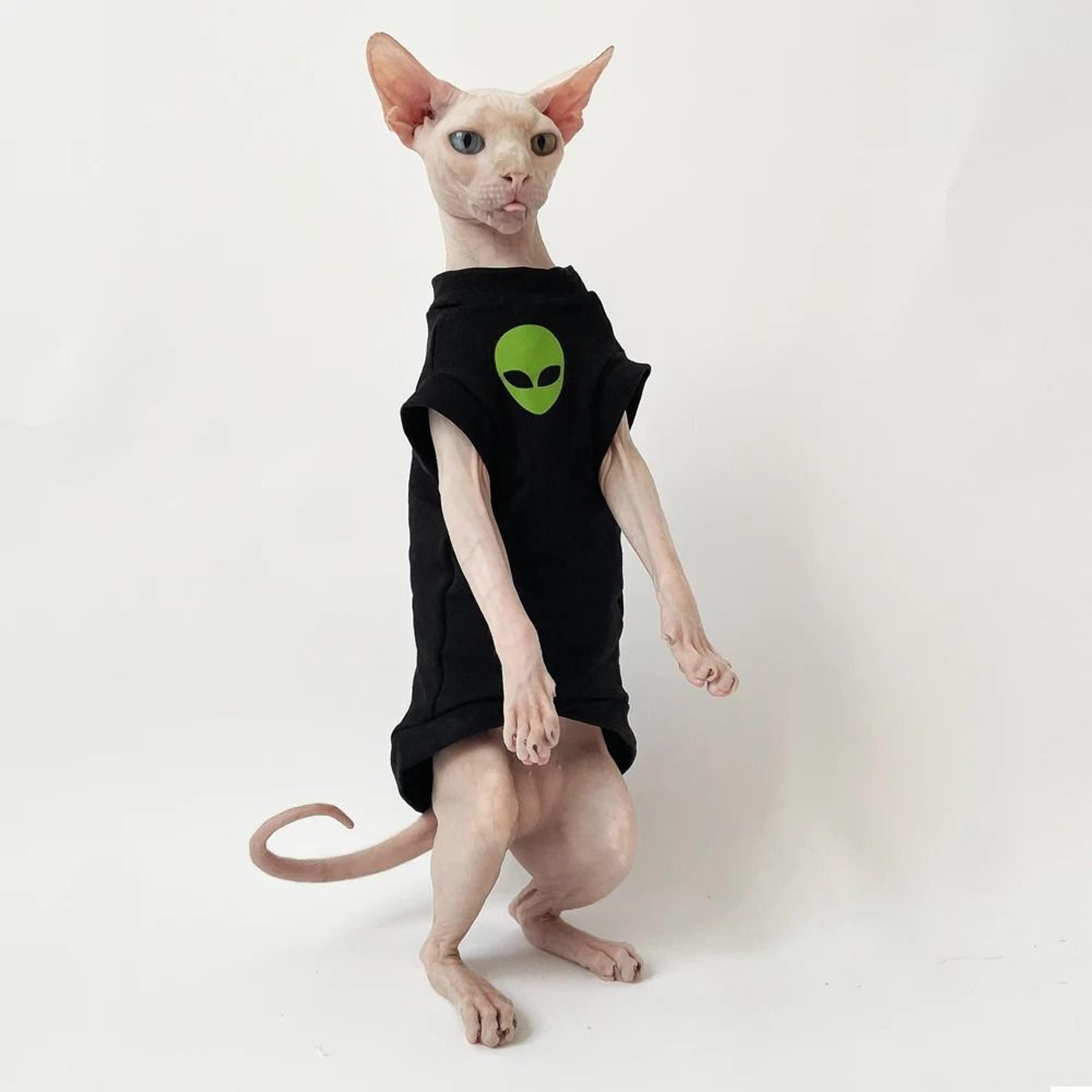 soft cotton sphynx cat shirt for winter comfort